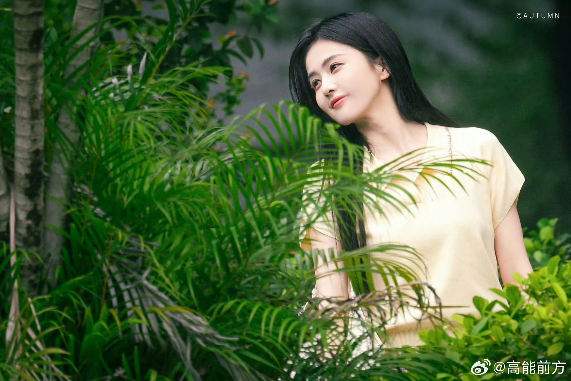 白鹿在我手机里跑一天了一整天反复刷白鹿这组神图完全看不腻，绿树暖阳作衬，她扬起长