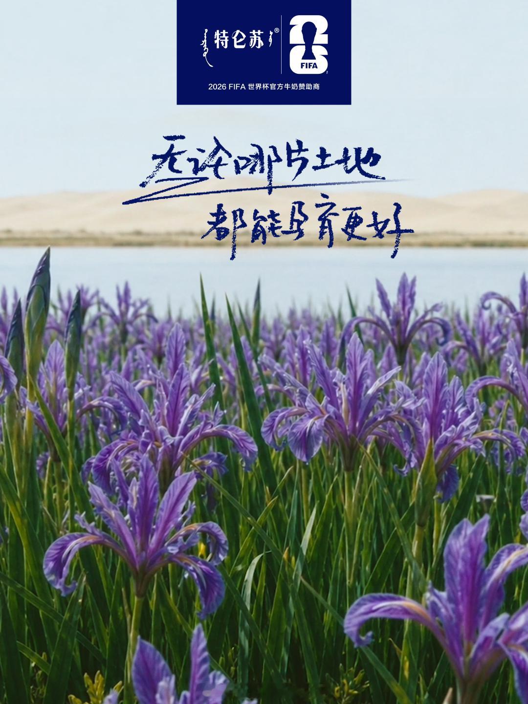 张云龙说这是世界杯级防守都说进攻赢得掌声，防守赢得冠军。提起“世界杯级防守”，你