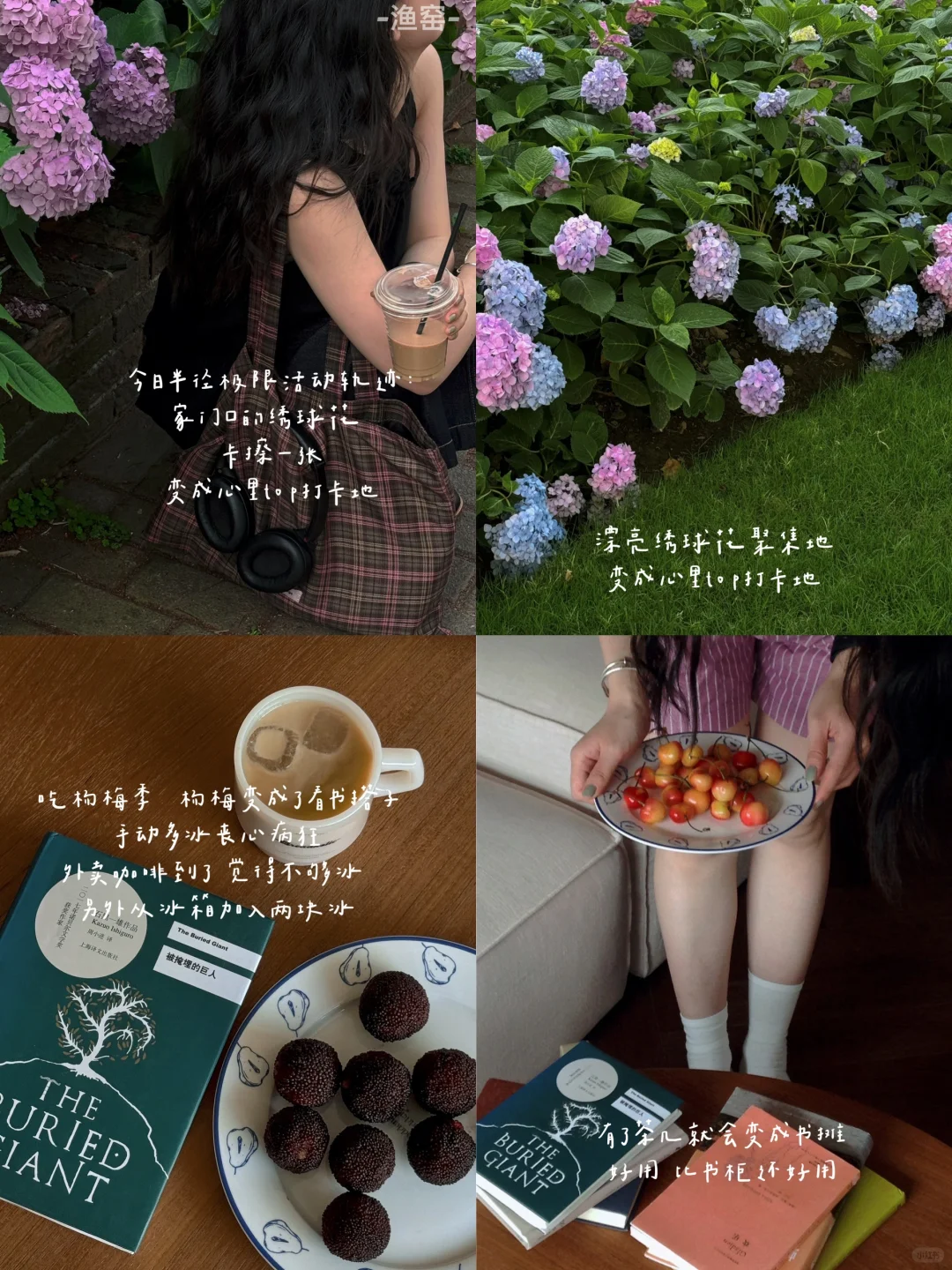 夏日请多和绣球花碰面｜附滤镜💜
