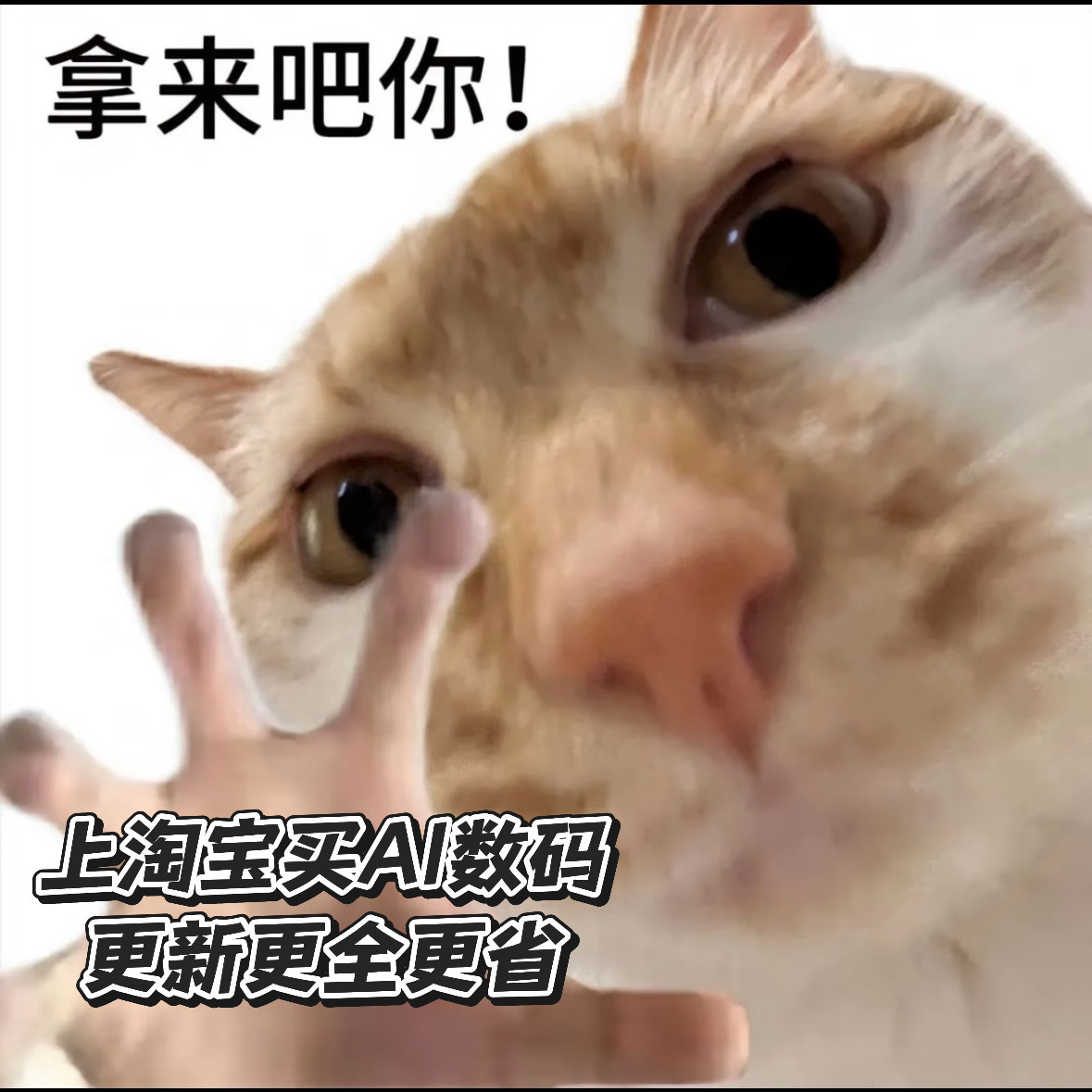 天猫3C数码独家合作伙伴影视飓风 数码领域再添强劲搭档，影视飓风成为天猫3C数码