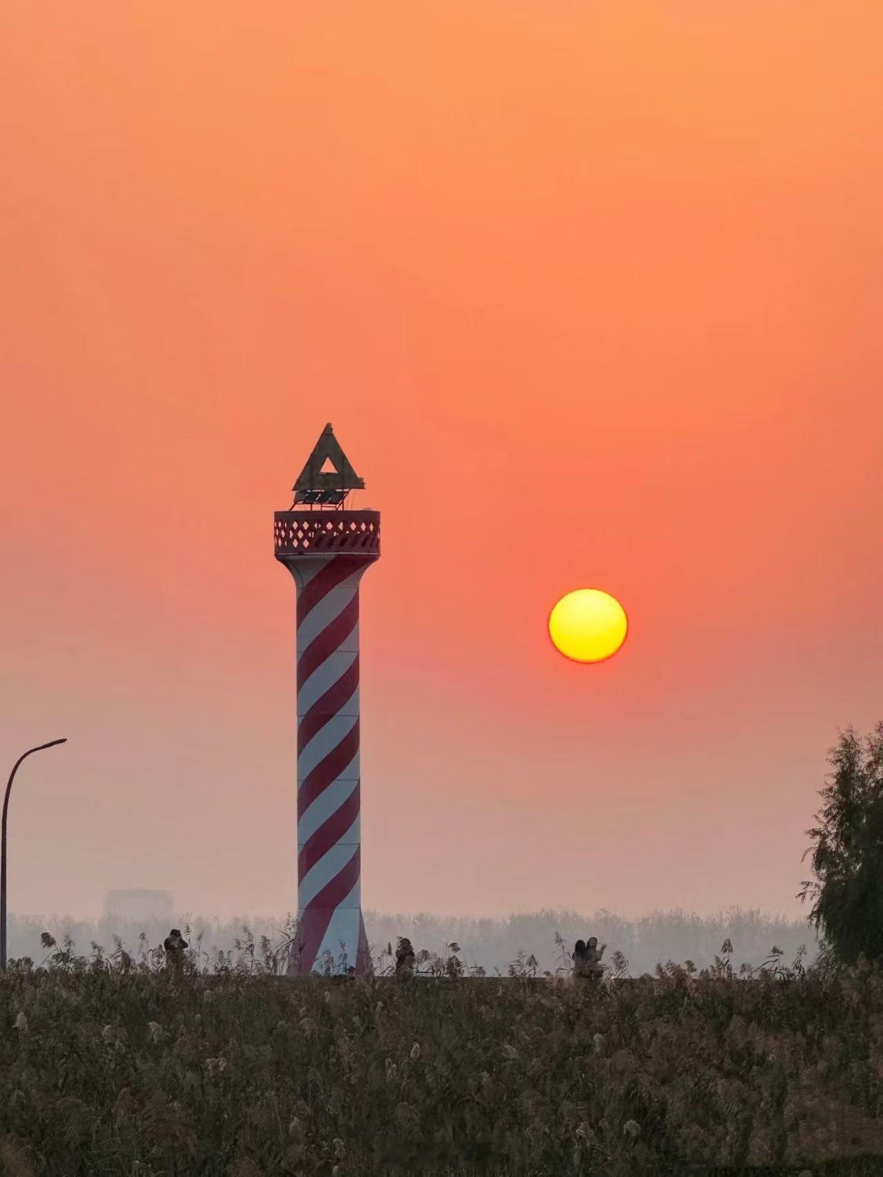 十二月的南京，暖阳在冷空气降临前慷慨挥洒最后的光晕，早安