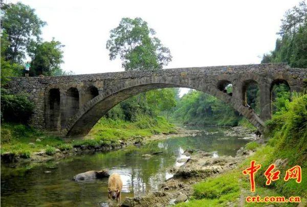 1934年，一农夫冒死救下18岁小红军，50年后成为将军的红军回来报恩，老农的要