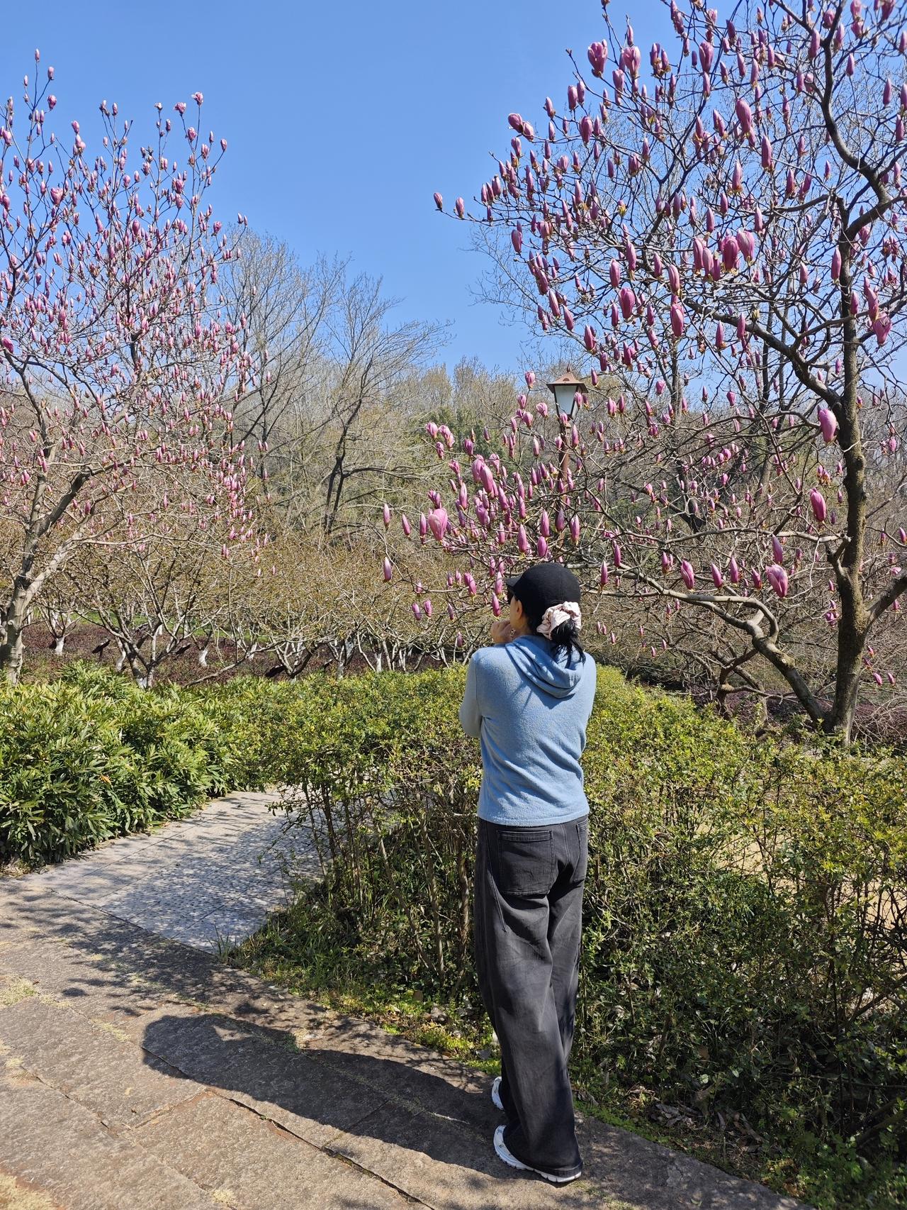 杭州的春天美的不可方物，清清的湖水有隐约可见的锦鲤自由自在的游动着，还有成双成对