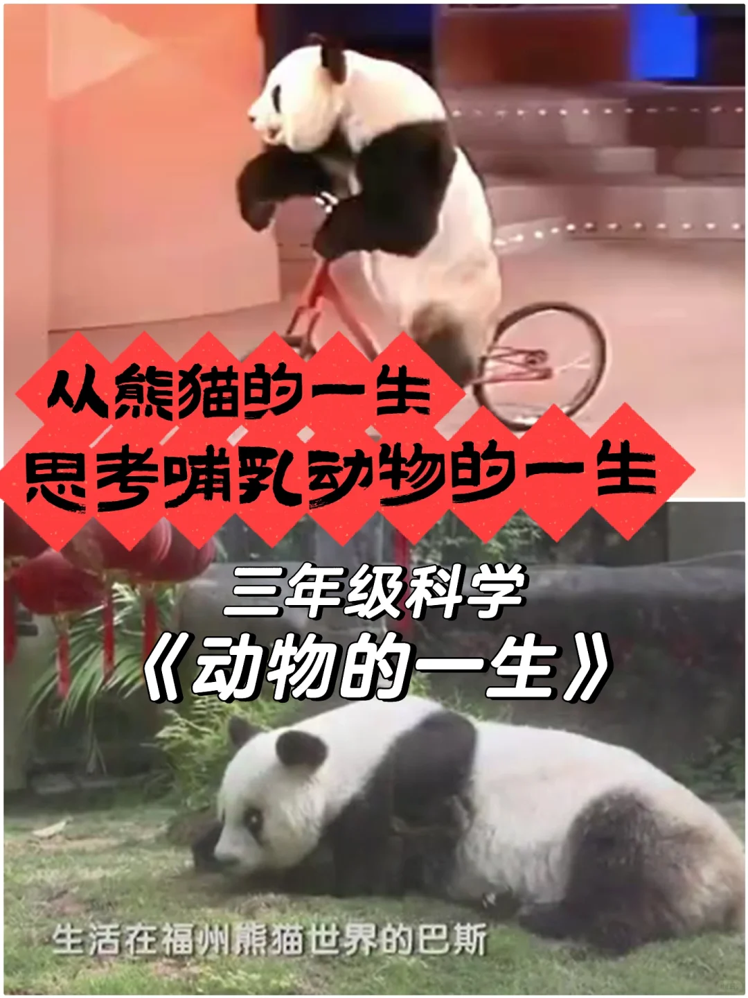 上着上着，居然有学生红了眼眶