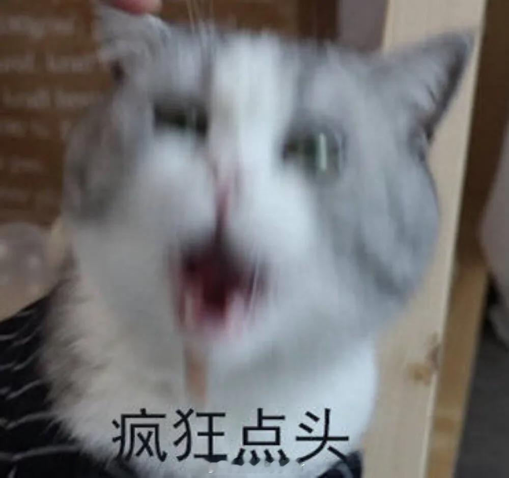 面对tony绝对不能说的十二个字：换个发型没有想法您看着来 ​​​