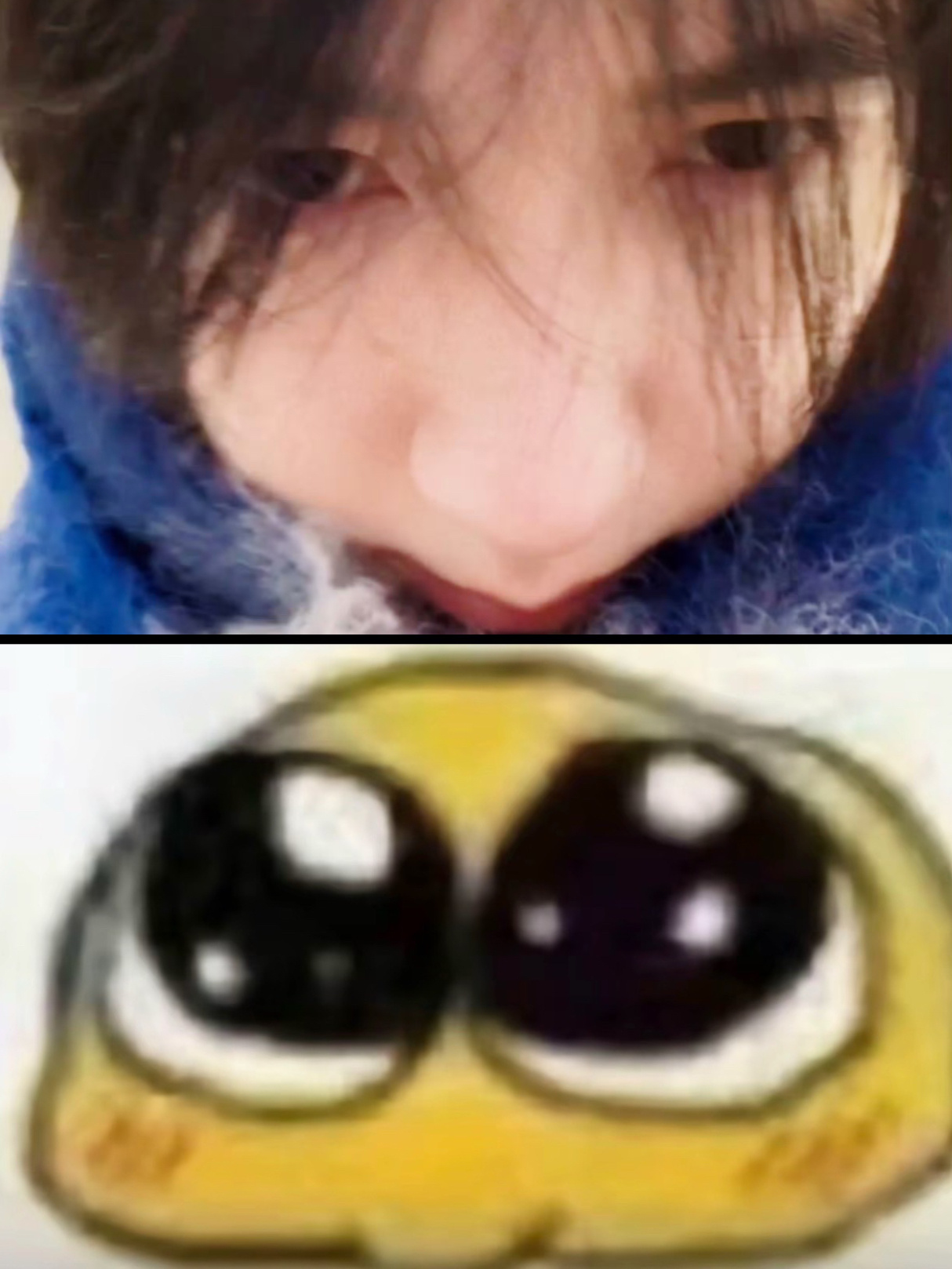 很喜欢这只兔宝宝 