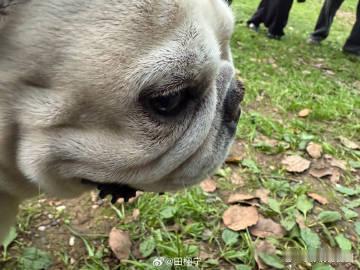 田栩宁说放轻松多笑笑 田栩宁这单手比C的视角，简直是行走的表情包与帅照的结合体！