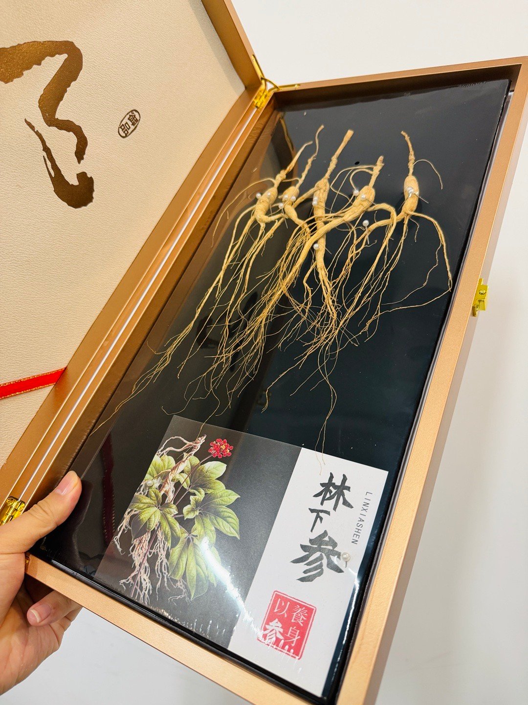 感谢东北刘亦菲的新年礼物补，真的是补啊下次撸铁，我准备试试200公斤