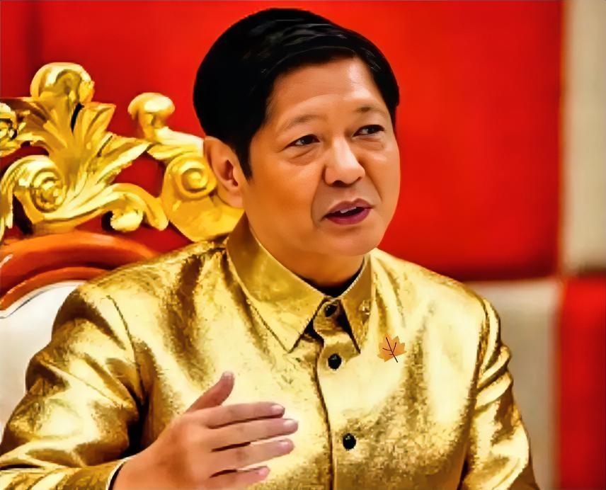 菲律宾医保钱被挪用，法院判返还却卡住，60亿何时能到位。
菲律宾最高法院12月6