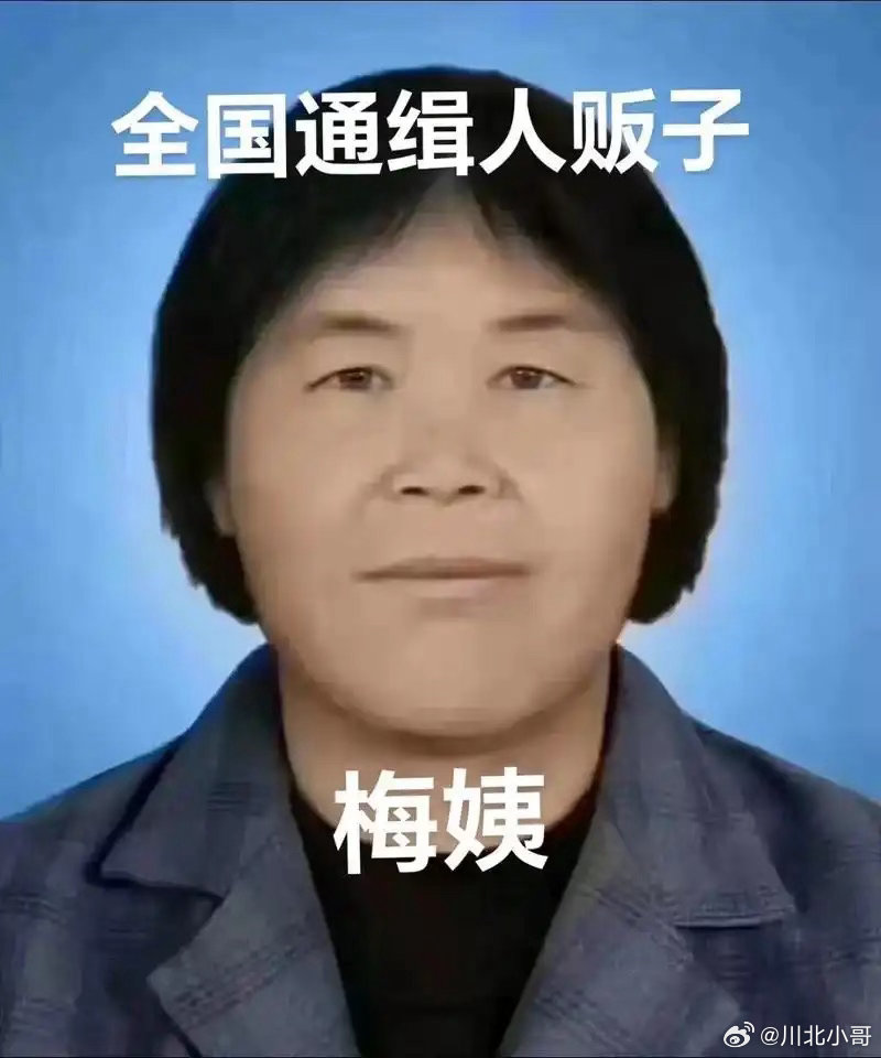 梅姨被逮捕梅姨案时间线：跨越二十余年的追凶与团圆🔽🔻2003.9—2005.