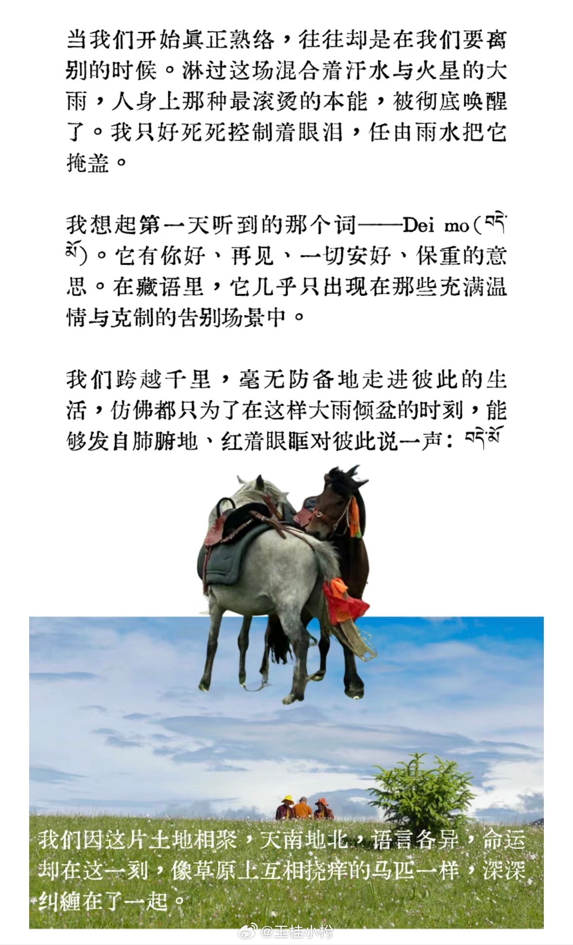 📖 | 沈枍今天看什么