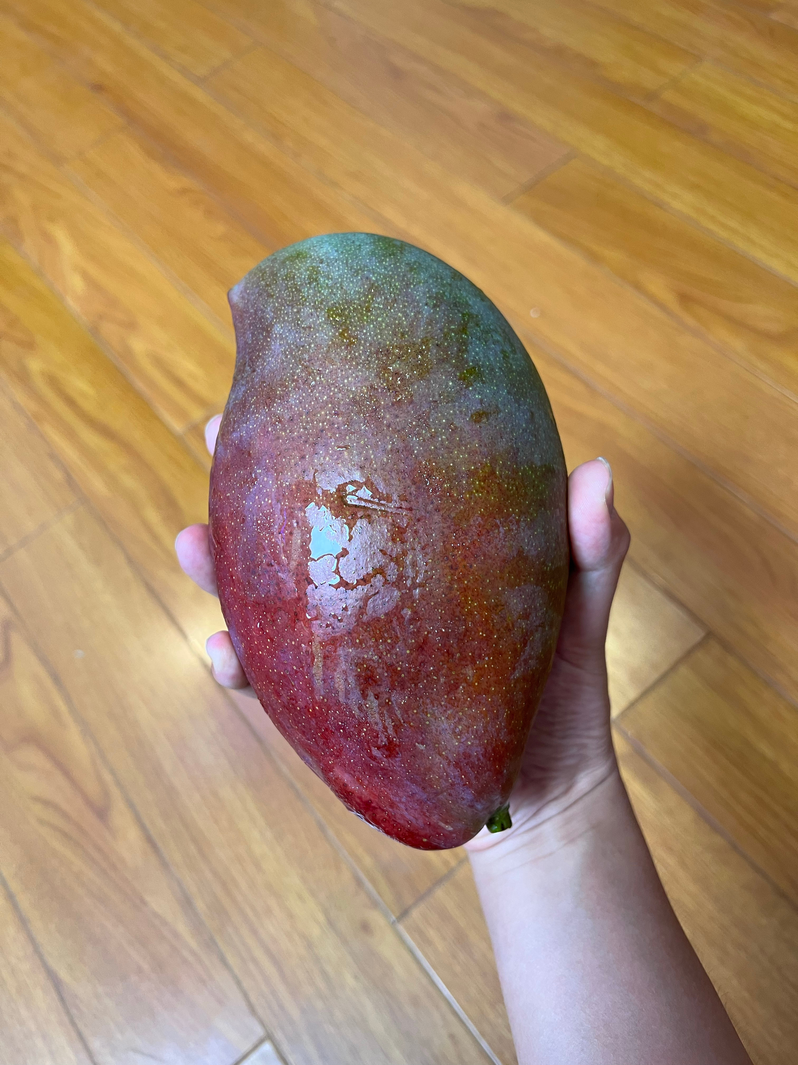 秋天的第一个芒果，尝尝？ ​​​