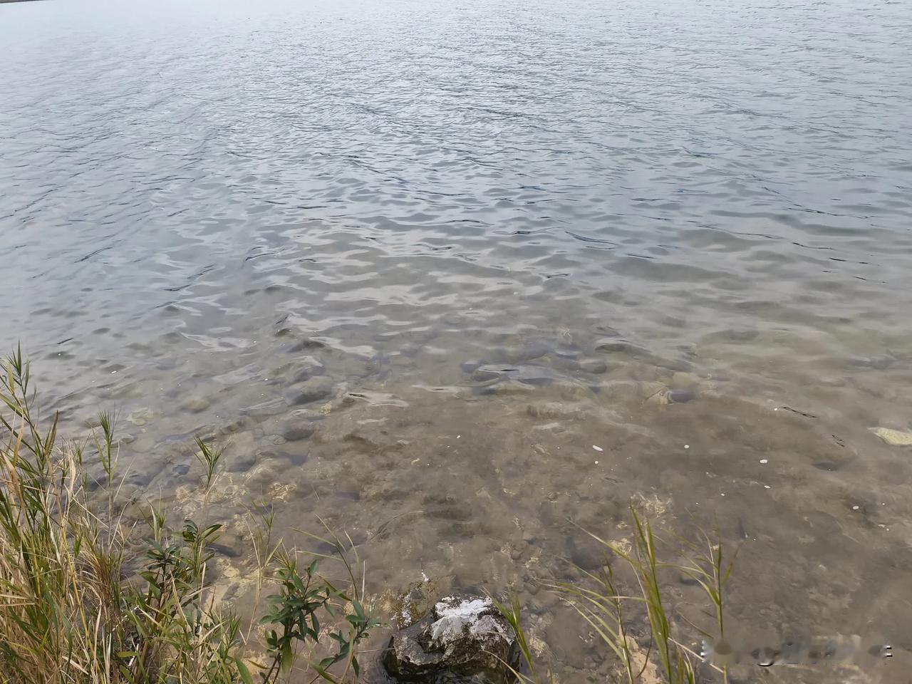 寂静时光
退休之后，我的生活就像缓缓流淌的溪流，节奏逐渐慢了下来。
今日没有午休