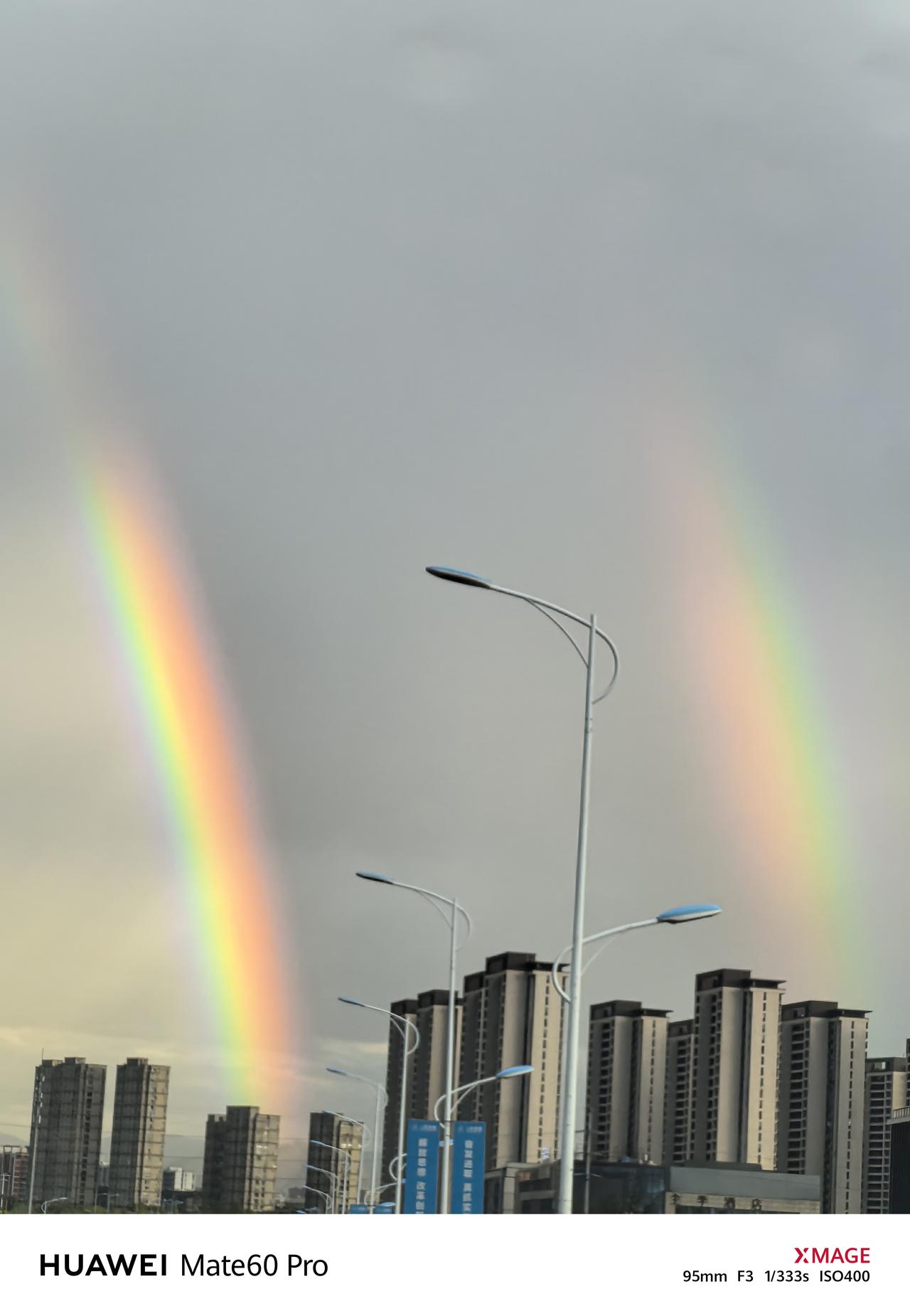 东京奥运会，巴黎奥运会周期主力队员，不和或缺的女乒团体队员！
新奥运周期的女乒核