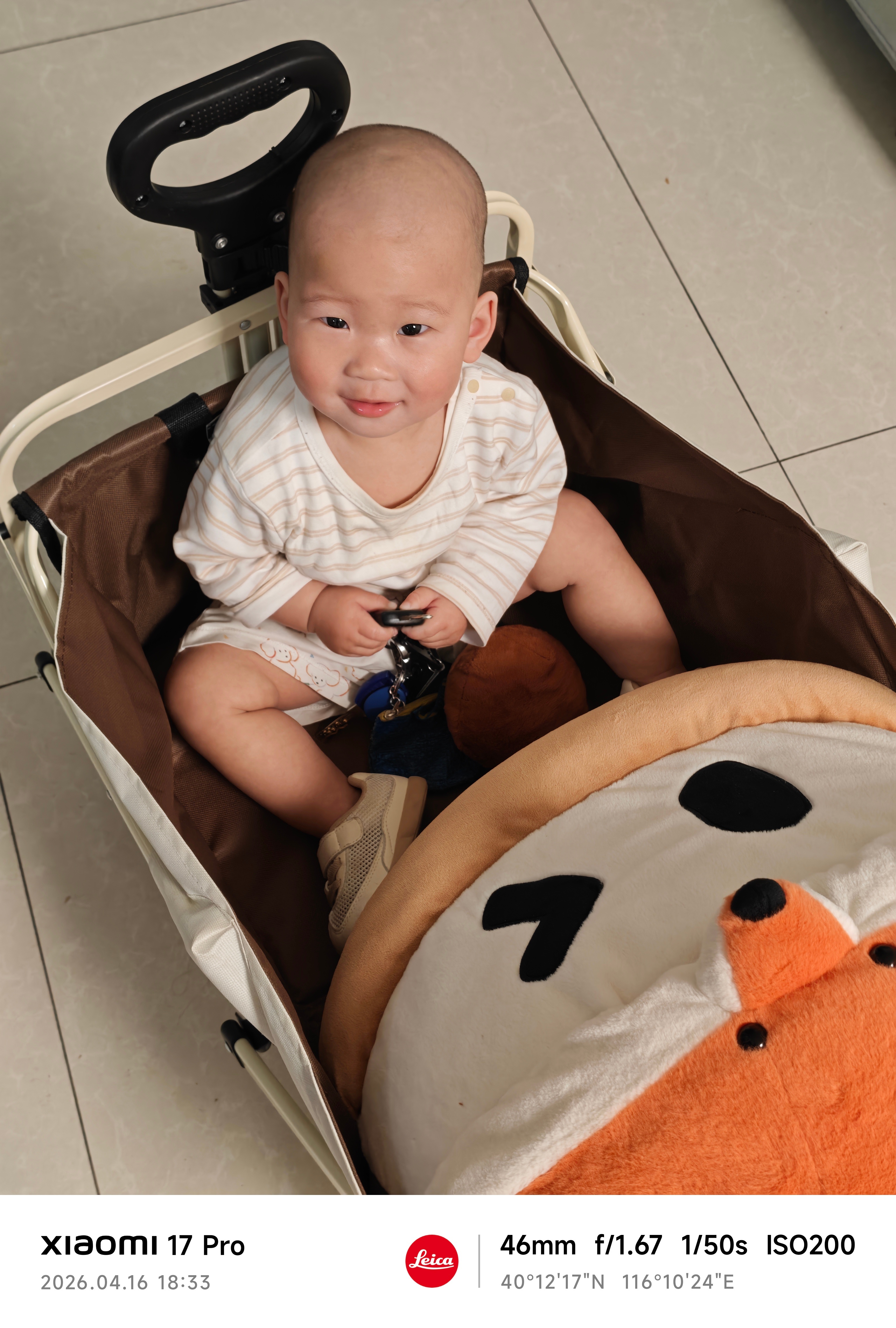 不坐婴儿车 可以坐露营车 北京