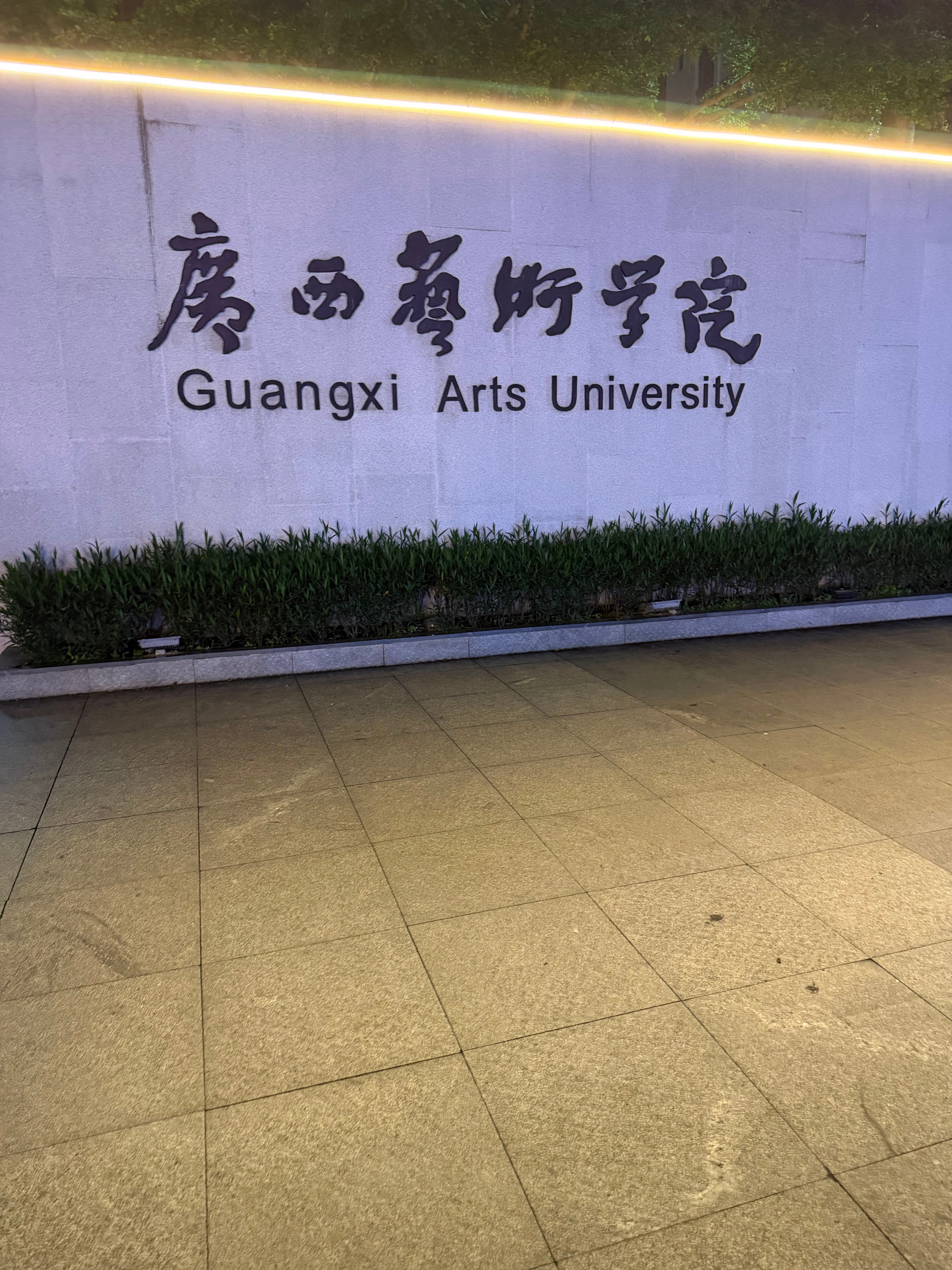 感觉里面也没有多少美女 南宁·广西艺术学校(园湖南路)
