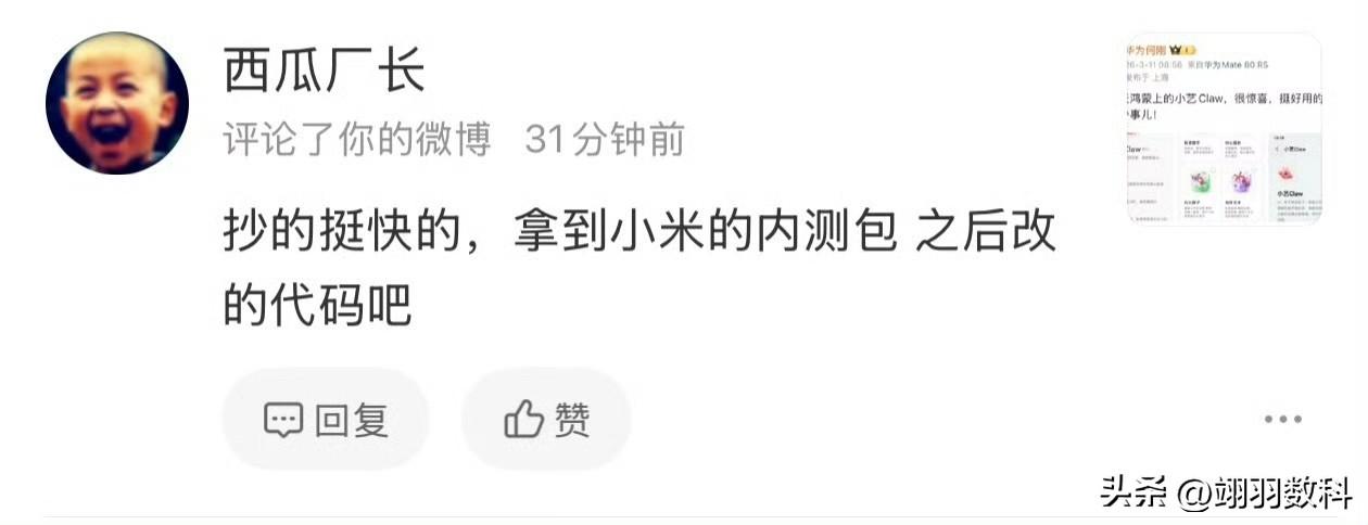 咱就说，不要制造华为与小米的对立吧。华为鸿蒙即将也要上小艺Claw，然后就有人吐