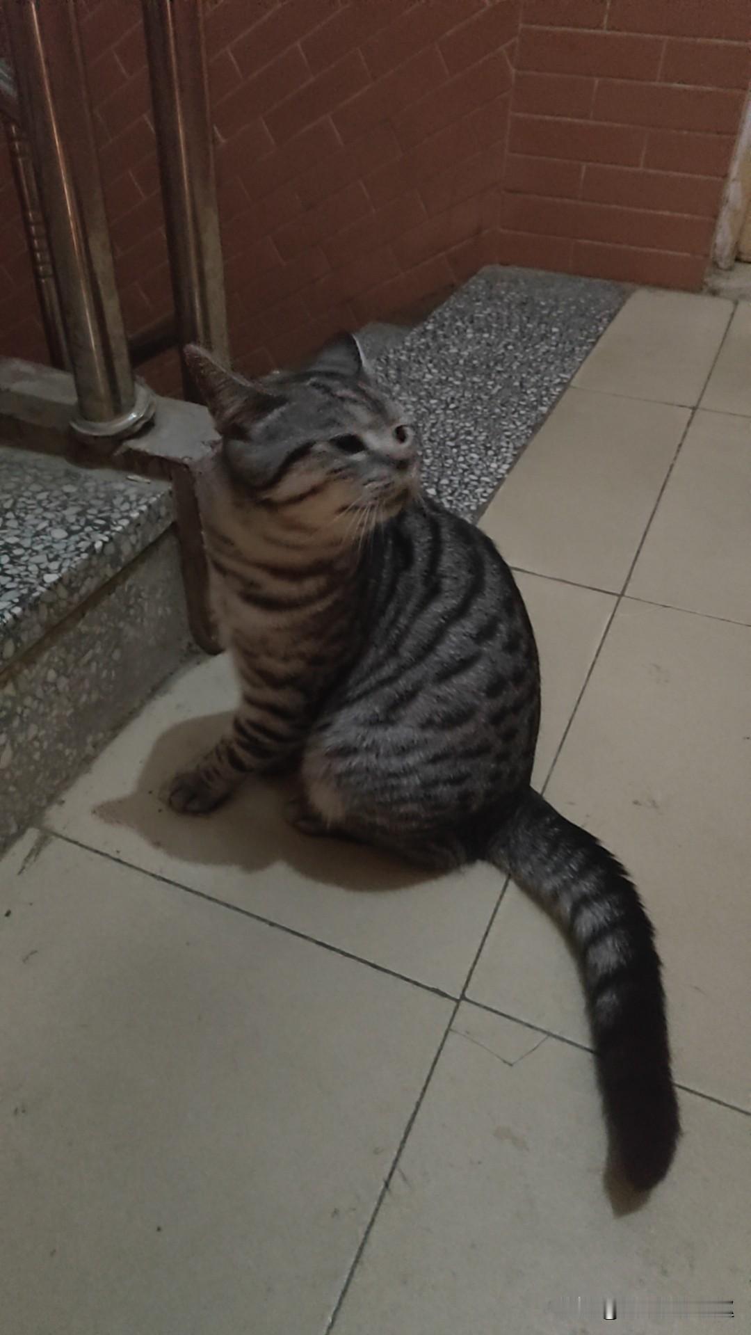 周末补课：是“加油”还是“透支”？

关于周末补课，其实没有绝对的“好”与“坏”