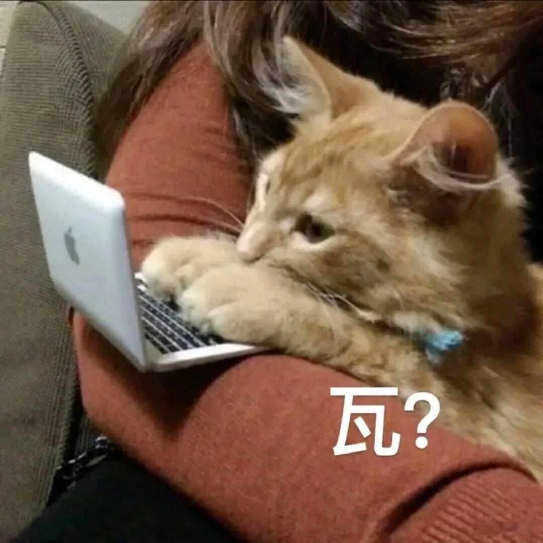 每日表情包分享。 