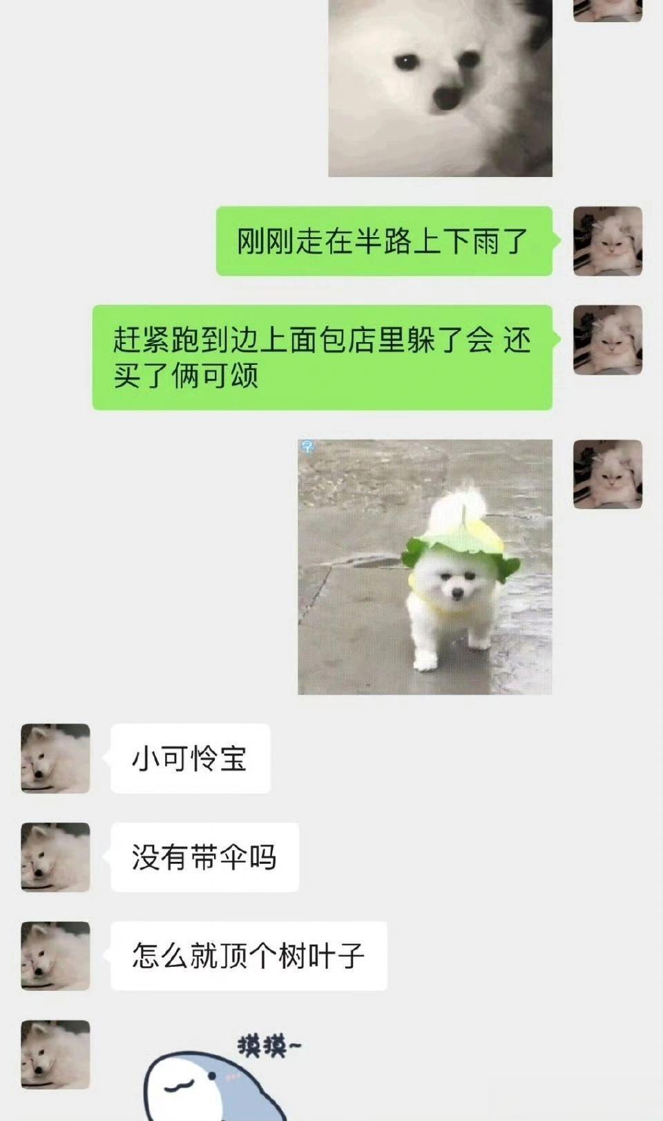 男朋友总把表情包当成我 ​​​