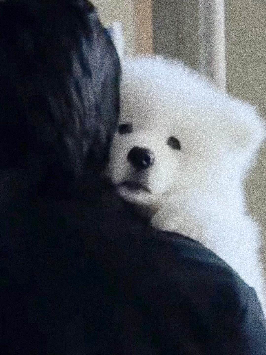 耀文眼中的自己就只有一咪咪大呀🥺 