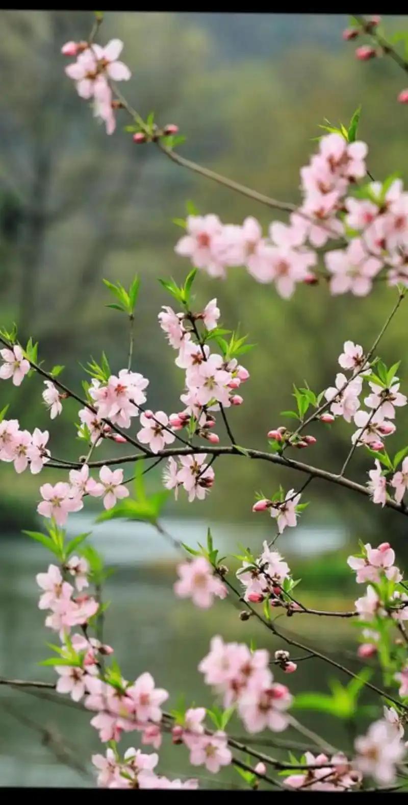 突然想明白一个问题，就是农村宅基地，与一家一户的土地使用权，是不能变的，除非特殊