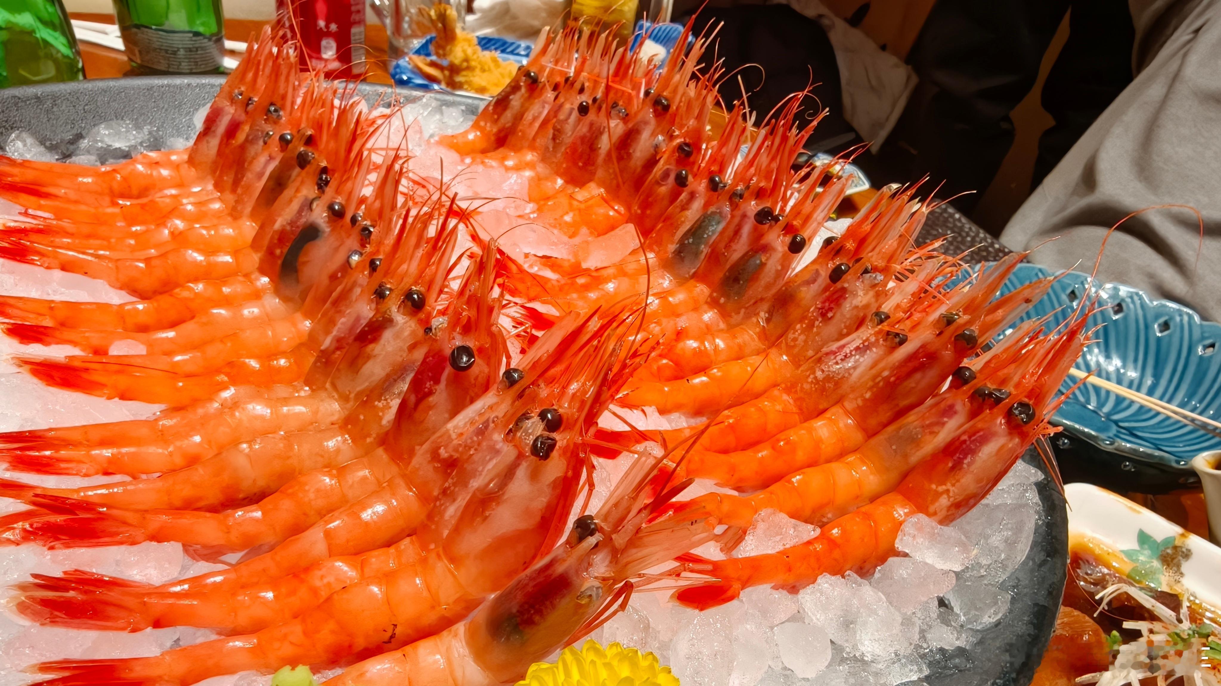 昨天我和侄子干了这么多甜虾 