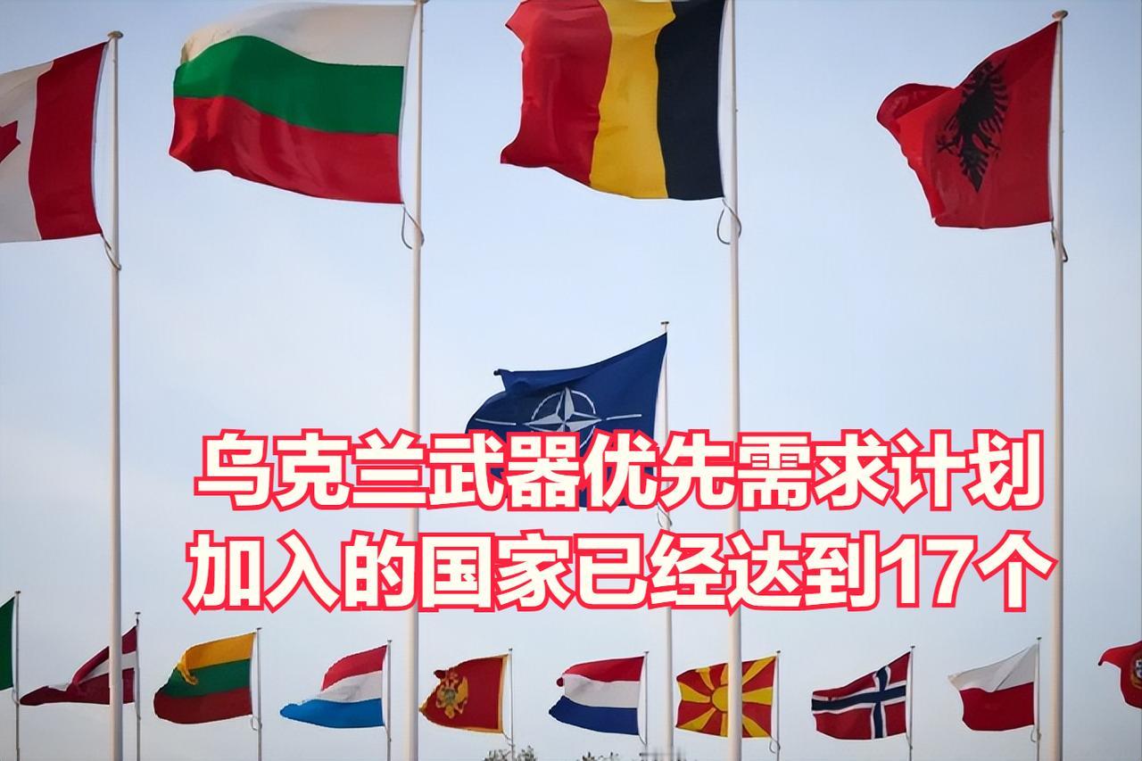 北约秘书长马克·吕特称，目前已有17个北约成员国加入“乌克兰优先需求清单”计划，
