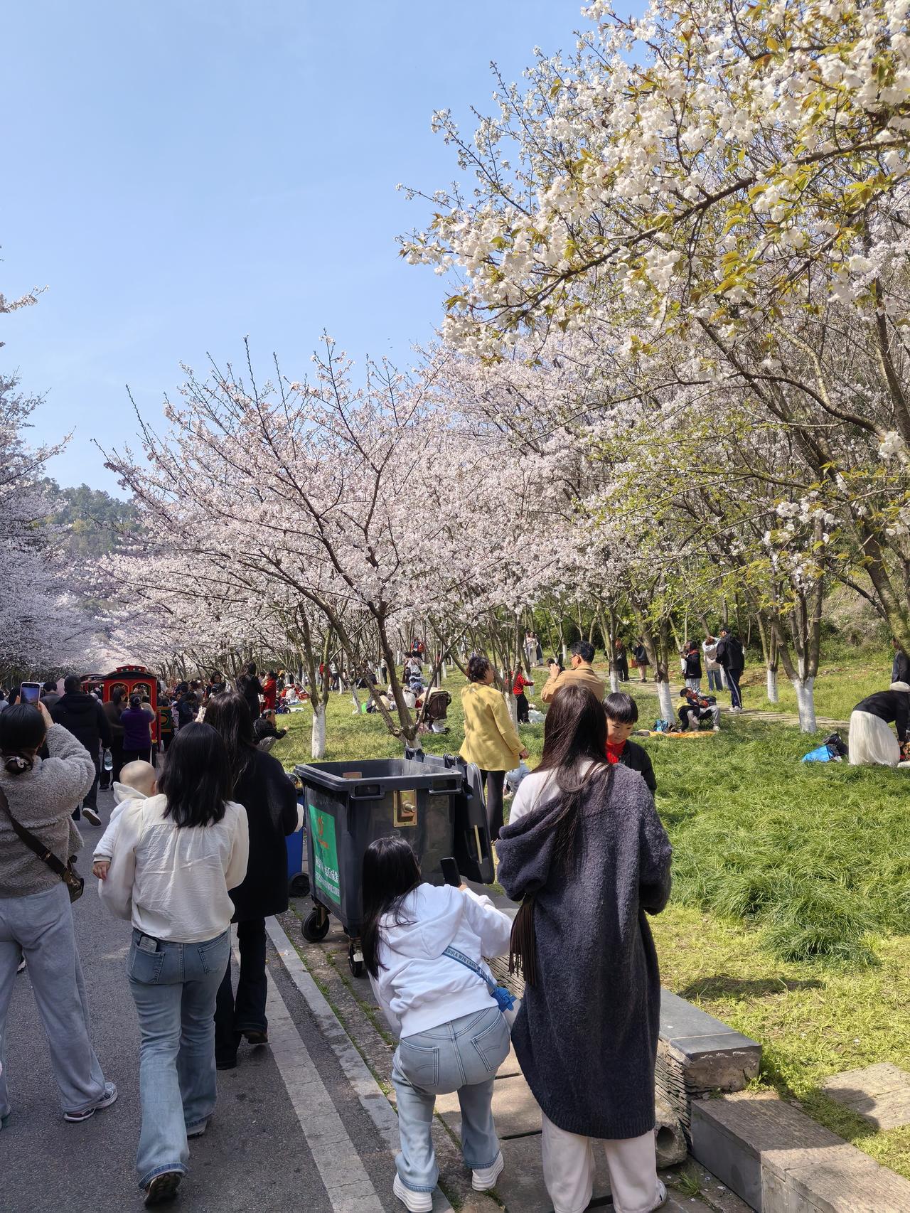 为啥老人身上有异味？原因还挺多。从年龄和内分泌看，40岁后人体易分泌2 - 壬烯