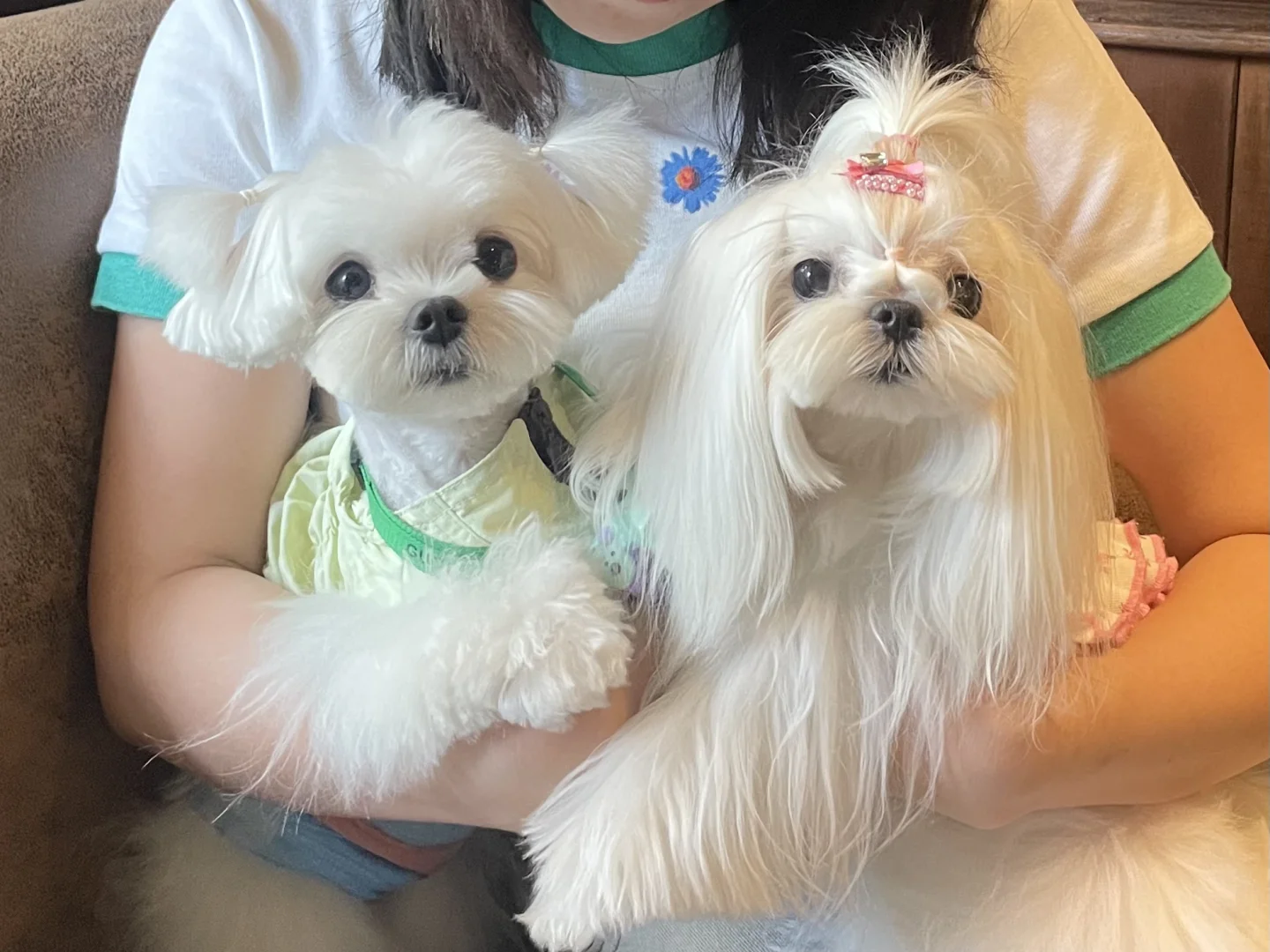哇趣🤩怎么可以泽么阔爱