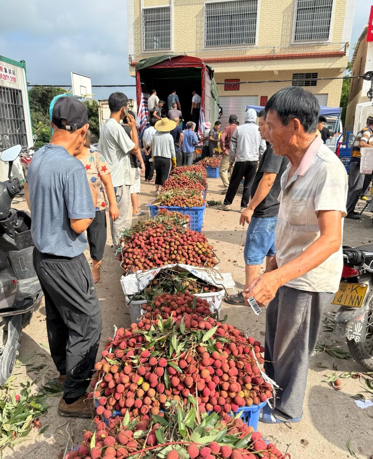 今年的荔枝行情有点堪忧啊😭

今年白糖罂产量的影响应该不会很大，就是估计桂味少
