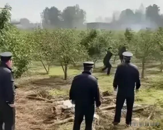 叶县副县长带人强拆大学生果园事件后续来了，当地县委书记做出了正面回应，称不存在强