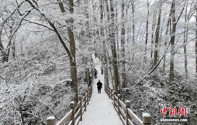 北海 雪后光雾山雾凇美景让游客流连忘返