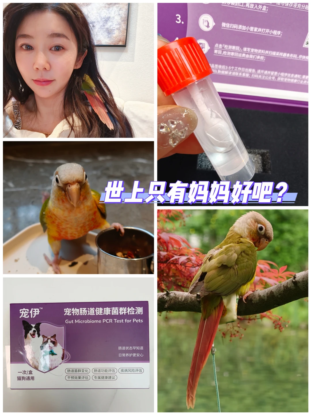 🦜 鹦鹉肠道健康也能“查户口”？