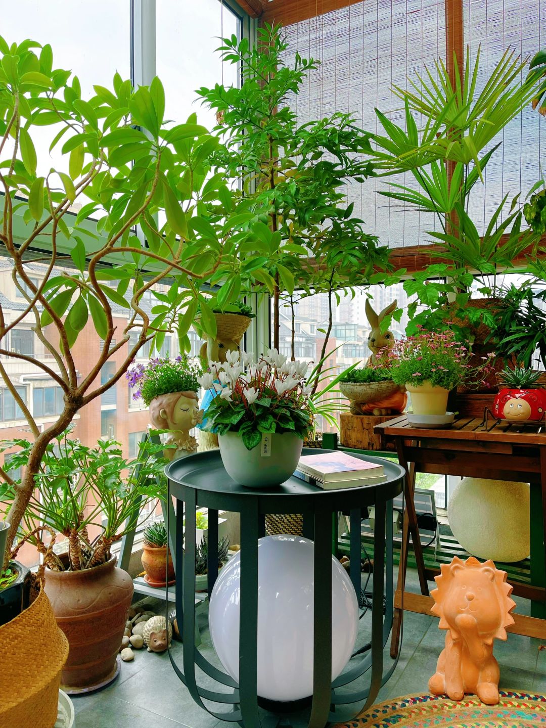 独处时光｜在阳台花园早餐中邂逅美丽心情