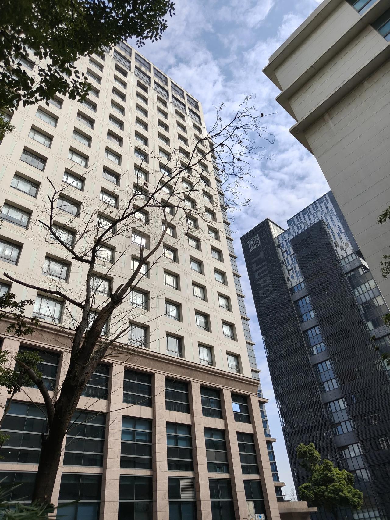 冬日美景随手拍实景图分享！

今天天气不错，温度也高~

周末又要降温了！