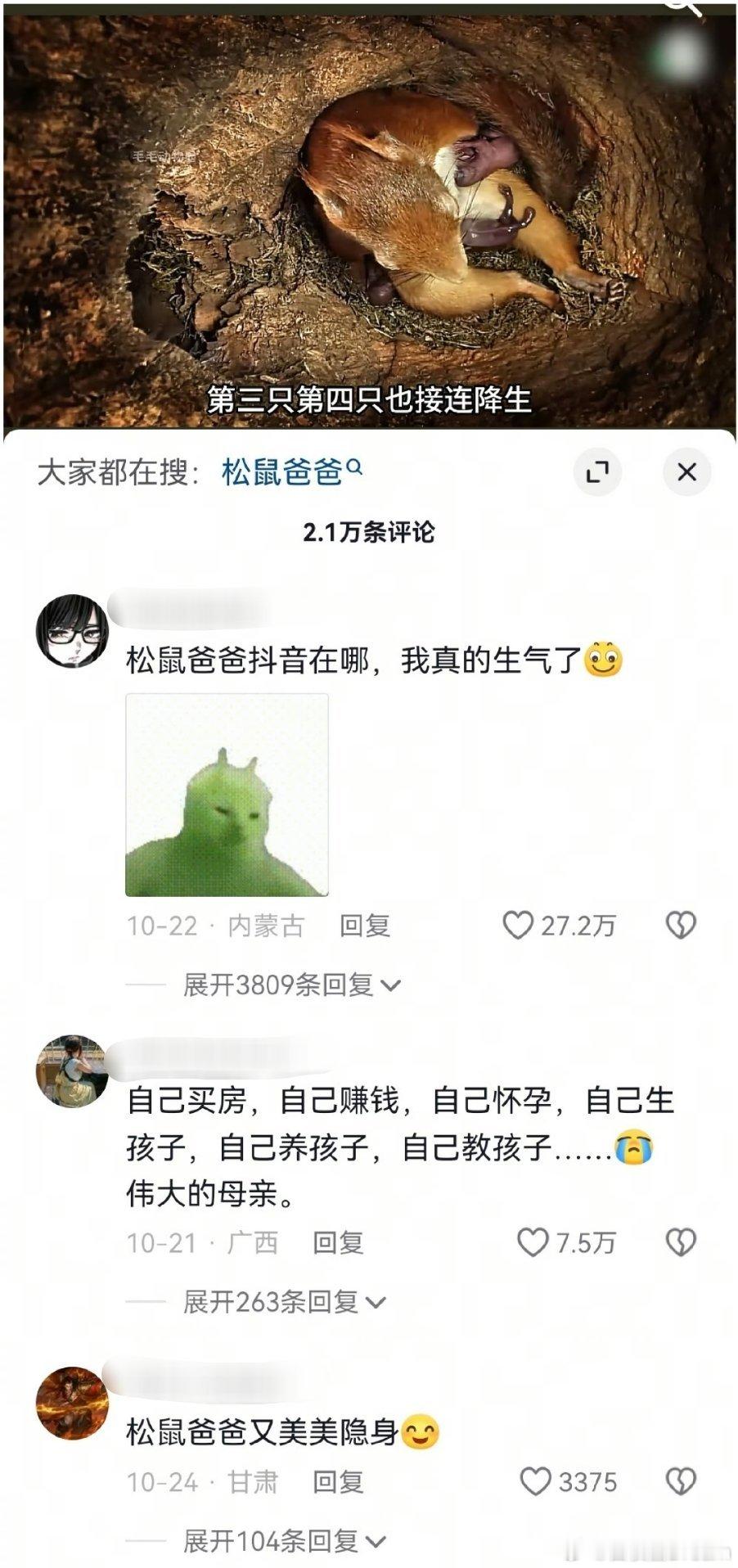 松鼠🐿️来了也得挨一拳.... ​​​