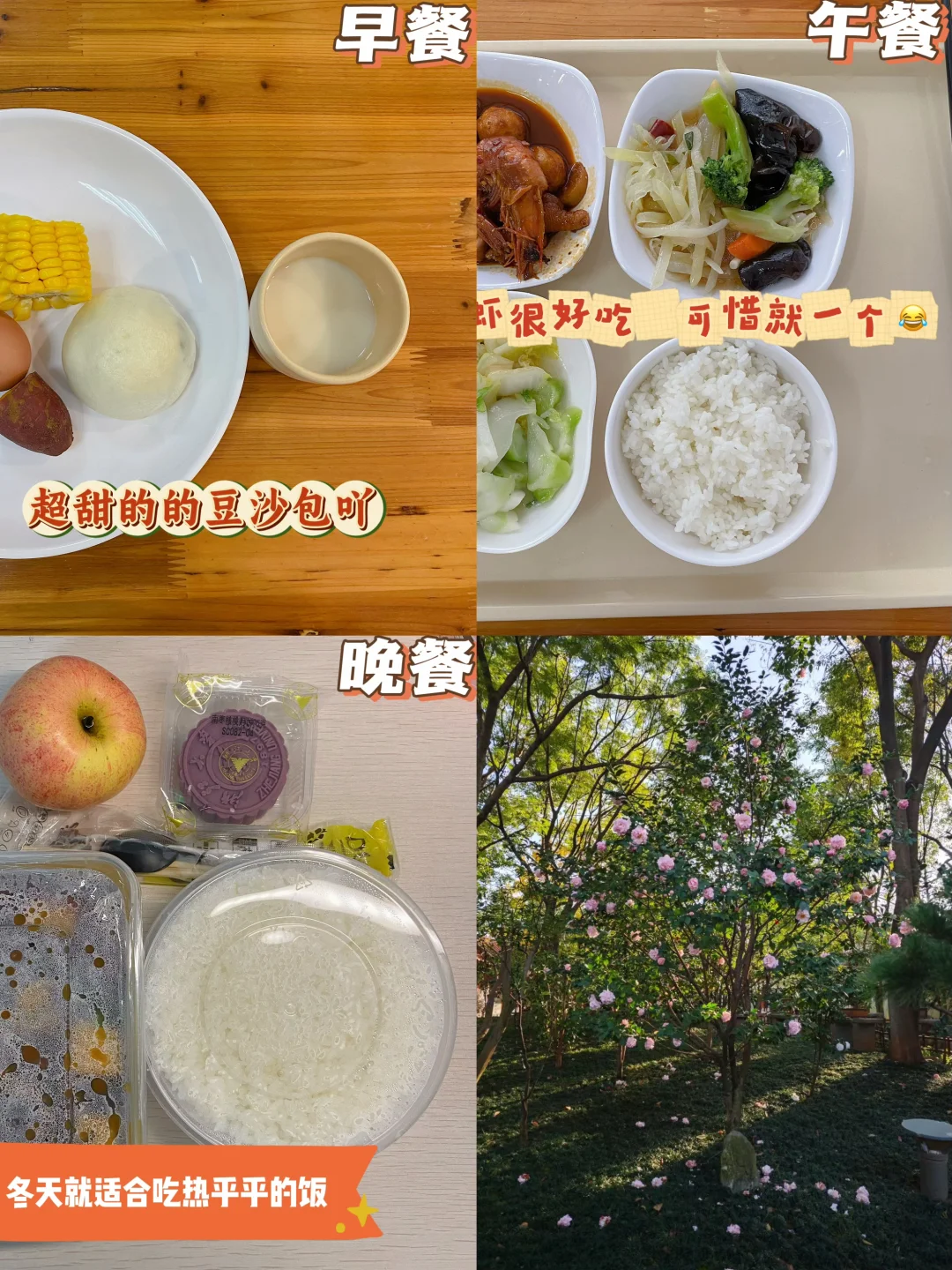 📅11.19｜ 好好吃饭｜今天效率高👍