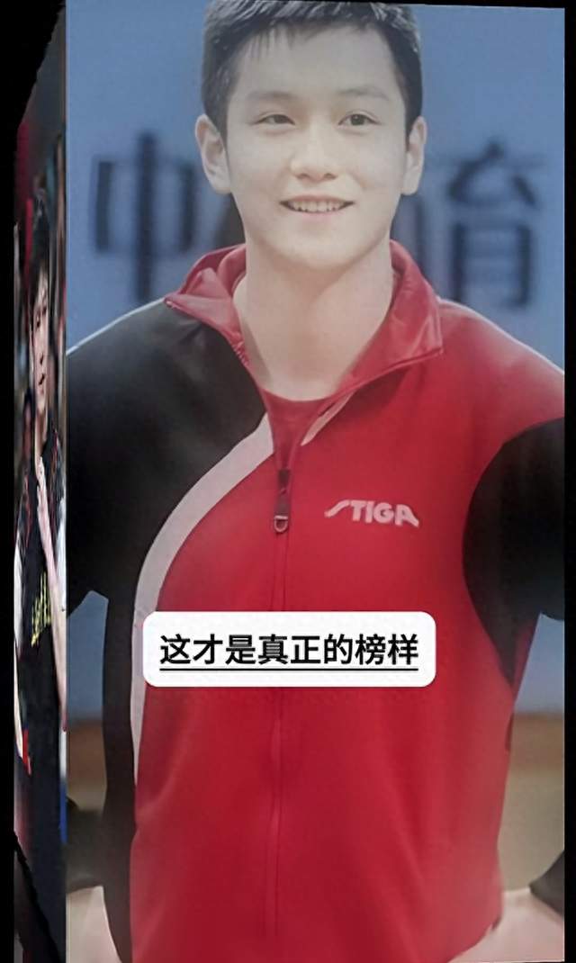 樊振东不为人知的故事