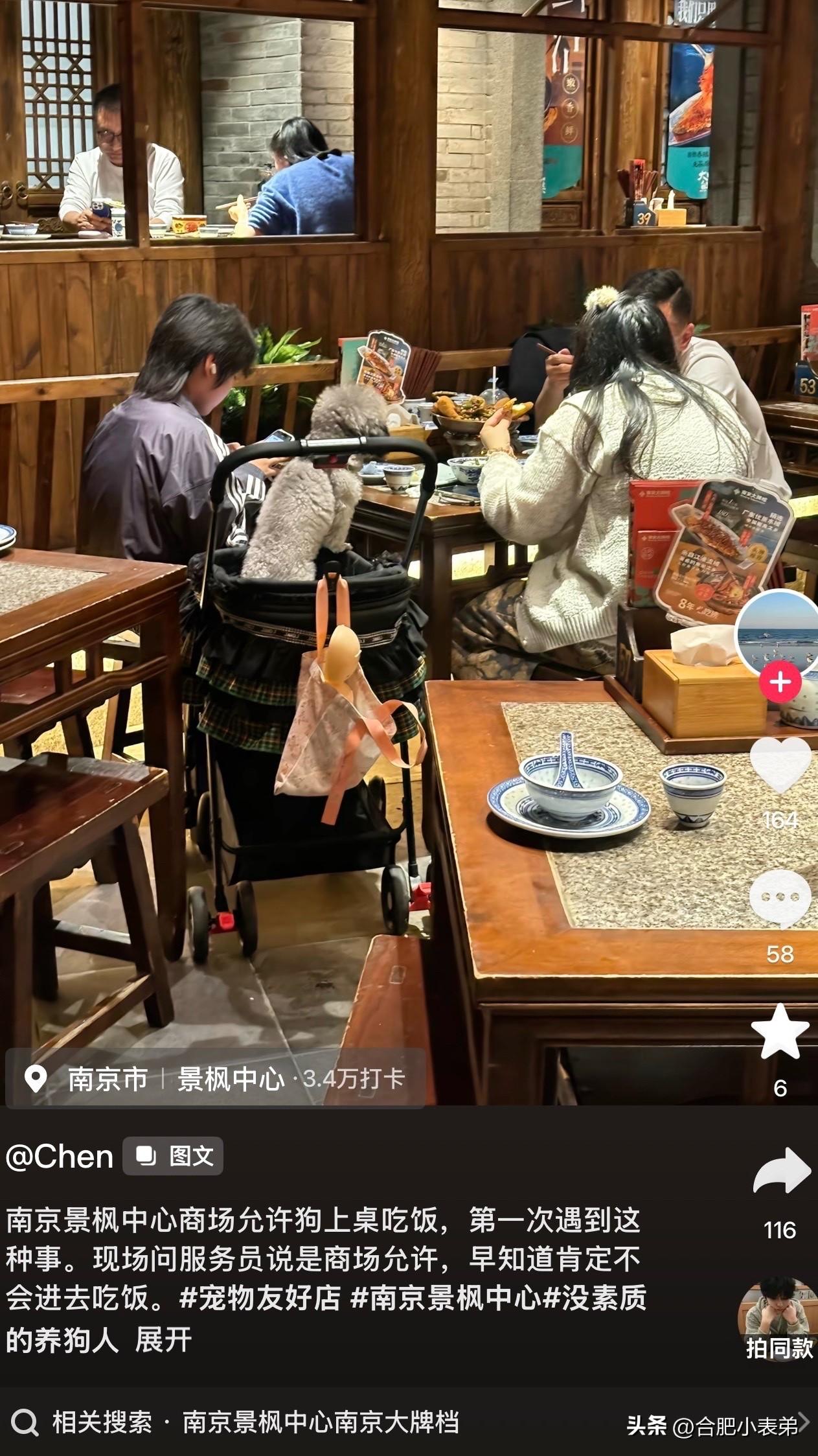 作者加速成长计划狗上桌吃饭网友爆料，隔壁又发生狗在公共场合上桌吃饭了！给大家避个