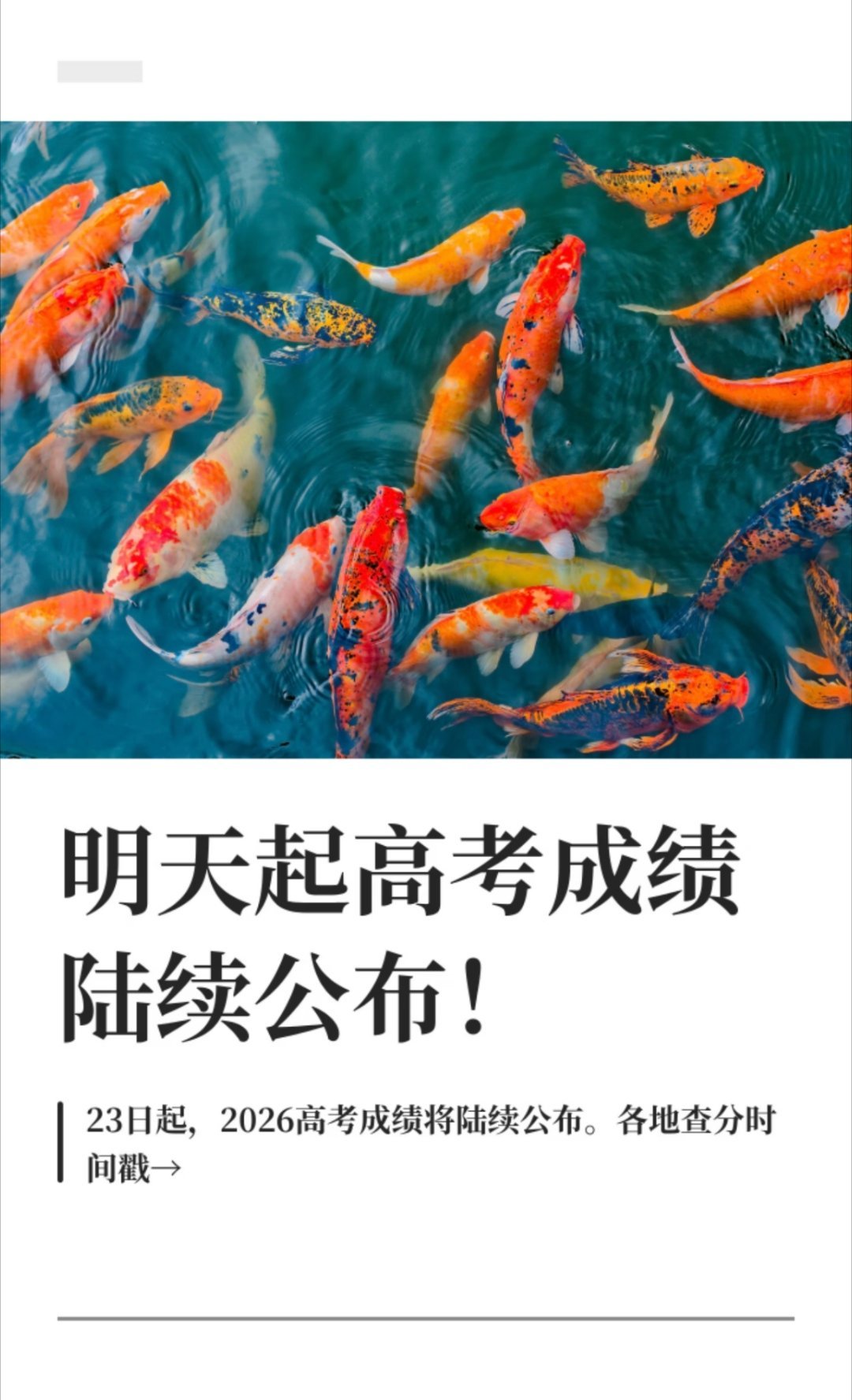 明天起高考成绩陆续公布锦鲤借好运送给所有考生，多年挑灯苦读终于要迎来答卷。不必过