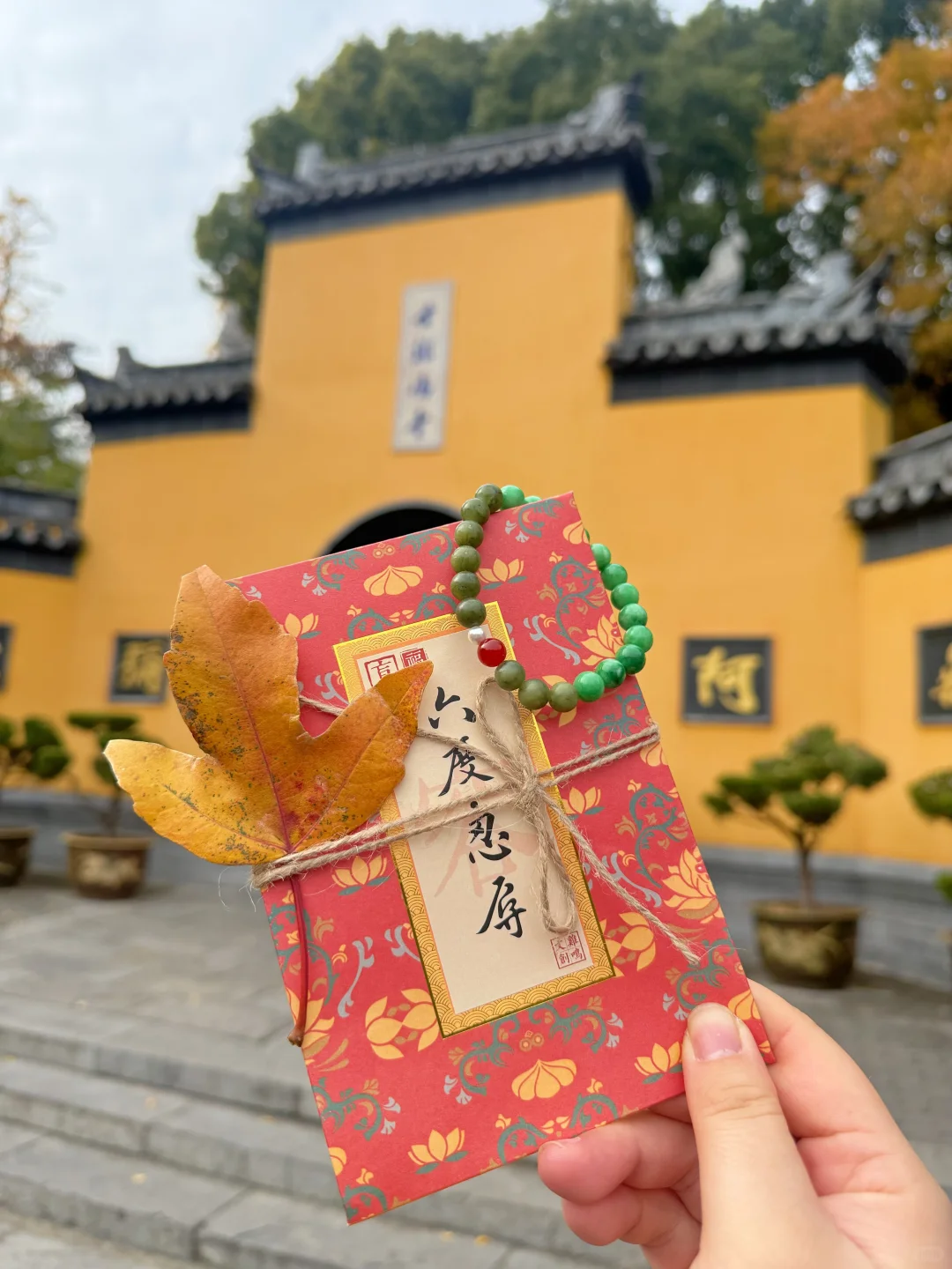来鸡鸣寺我只干这一件事！