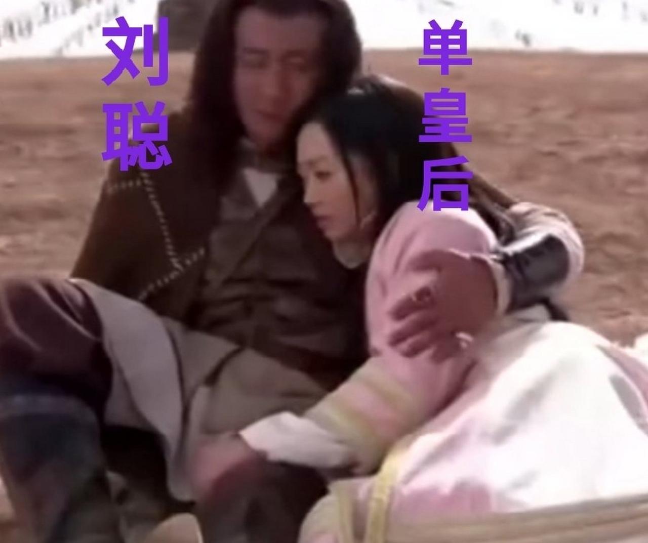 作为氐族女子的单皇后，凭借倾城容貌深得刘渊宠爱，被册立为后。刘渊驾崩后，汉赵皇室