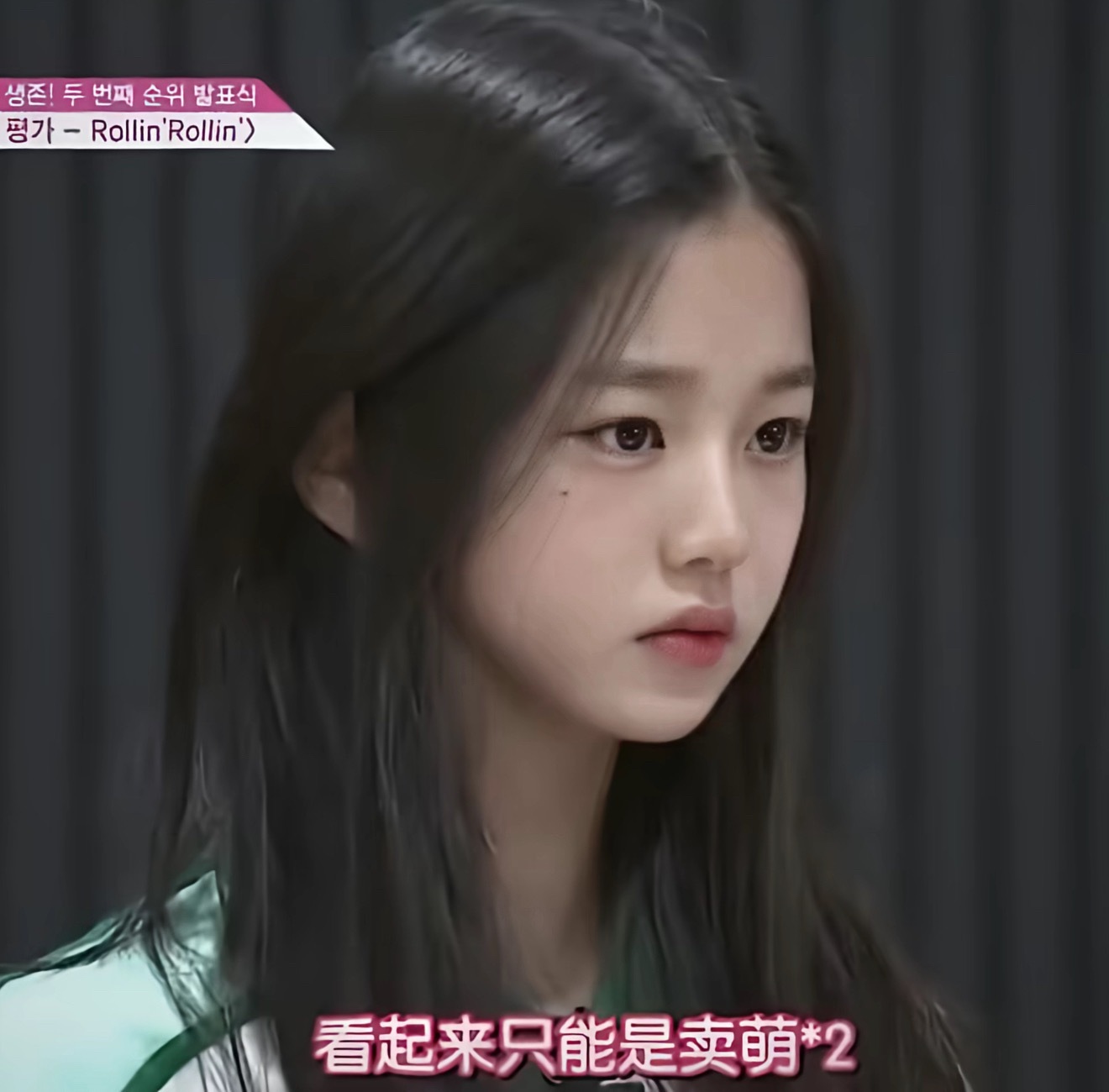 14岁的幼兔 