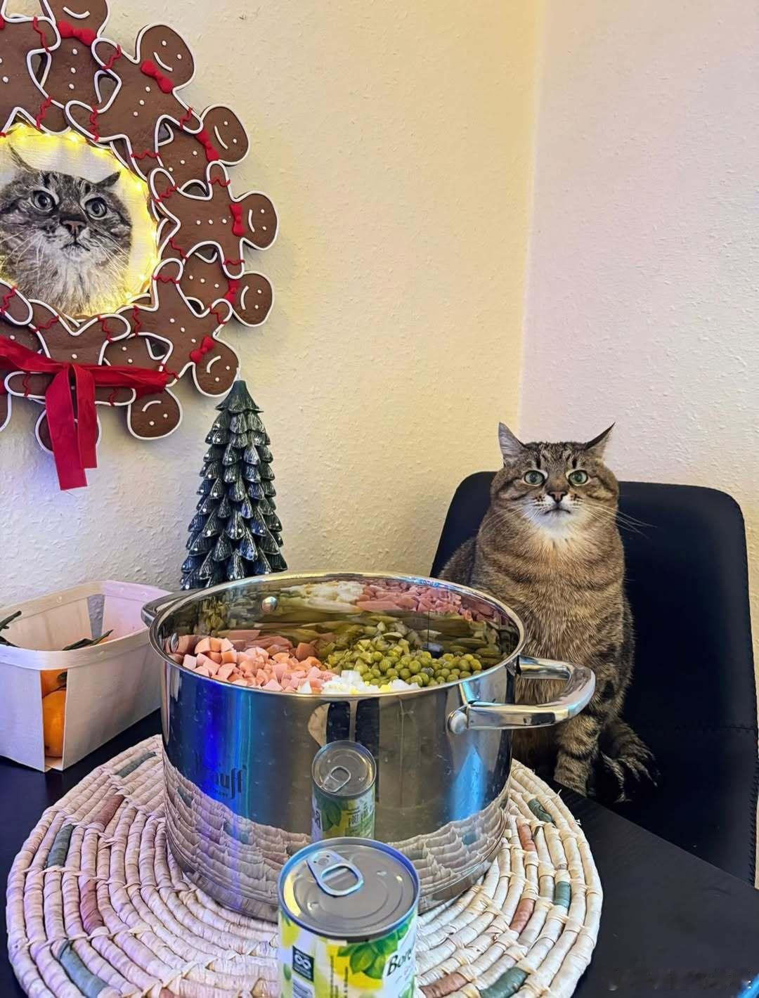 給emo猫满上🍷..cr：loveyoustepan 