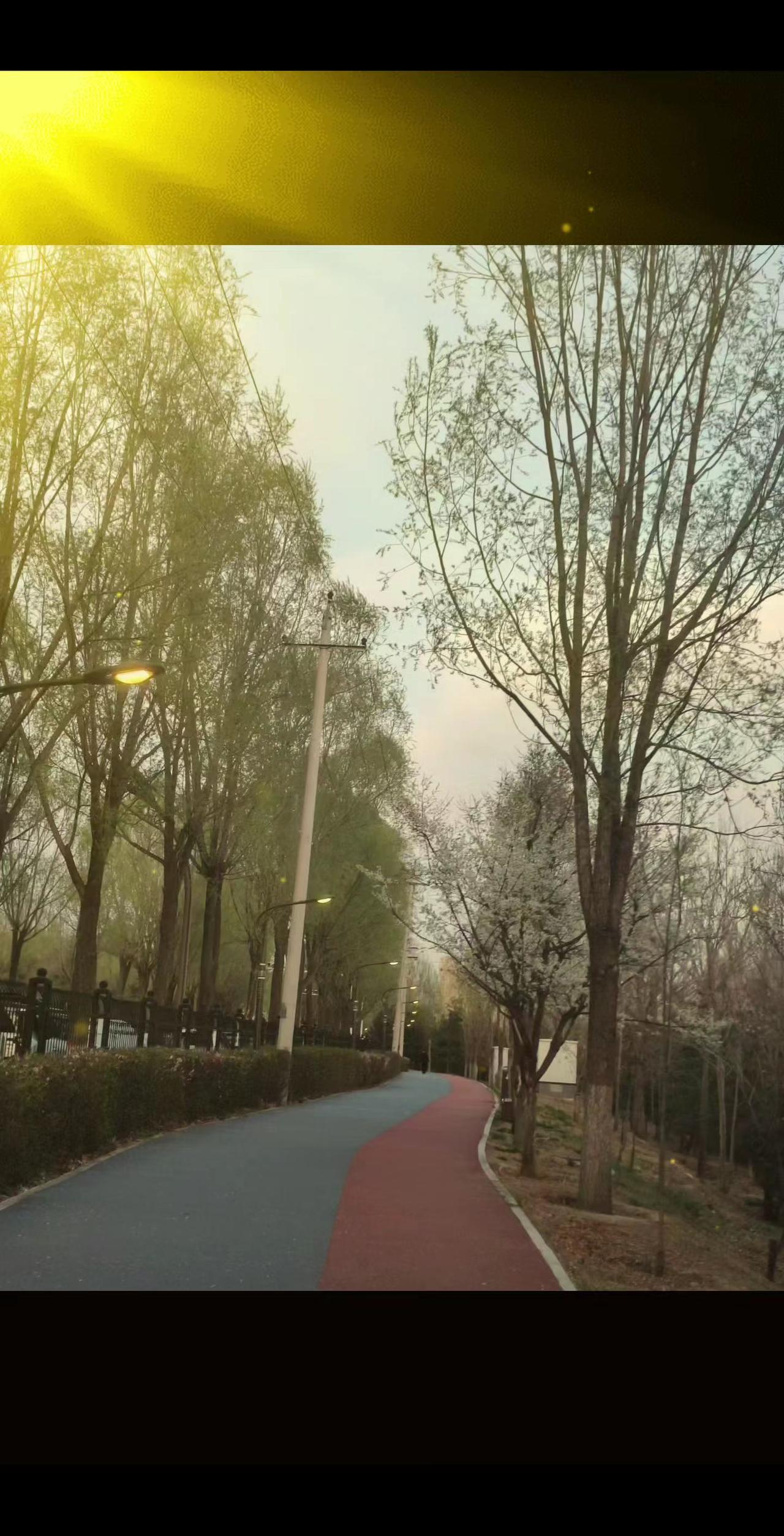 我神经病，不知道什么是爱，眼瞎分不清楚…