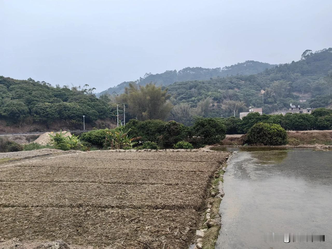 春天到了，万物复苏的季节，又到了春耕备耕的时刻，一幅“春江水暖鸭先知”的景象，水