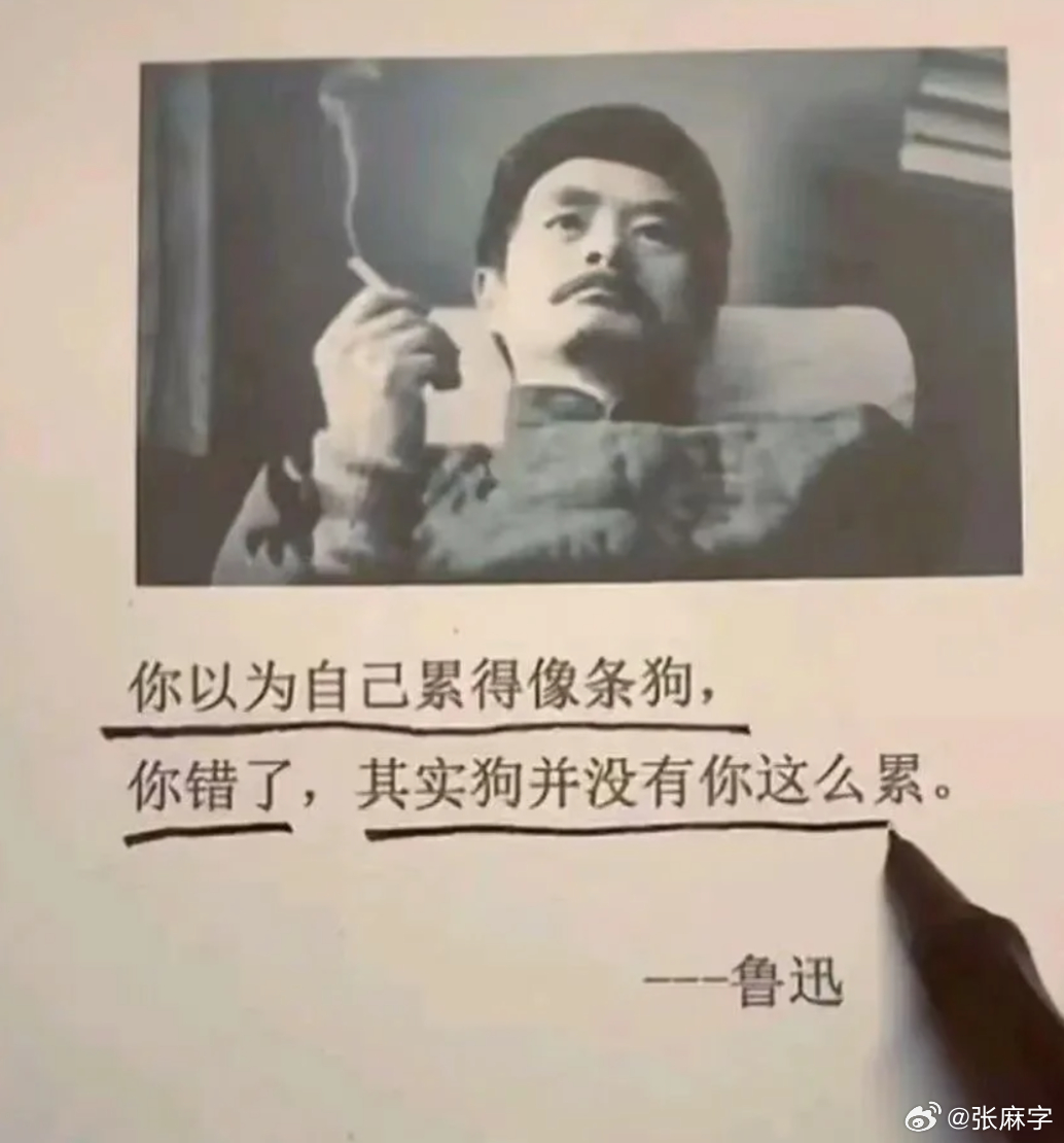 科学家称AI伴侣是社交垃圾食品，AI伴侣或越伴越孤独 小时候吃包辣条，大人说那是