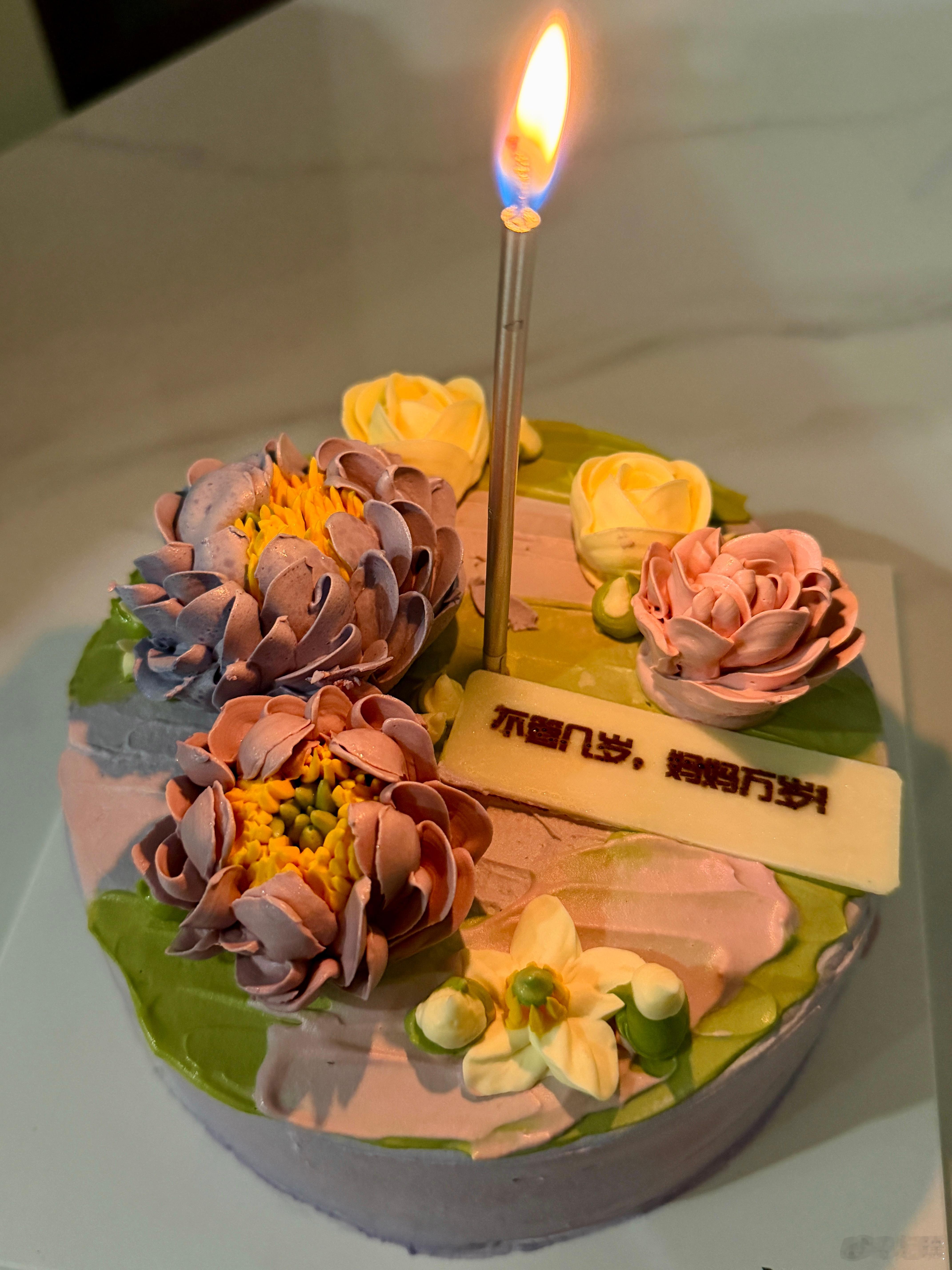 这一天，光吃蛋糕了，还有万能的饺子。跟妈妈同一天生日belike