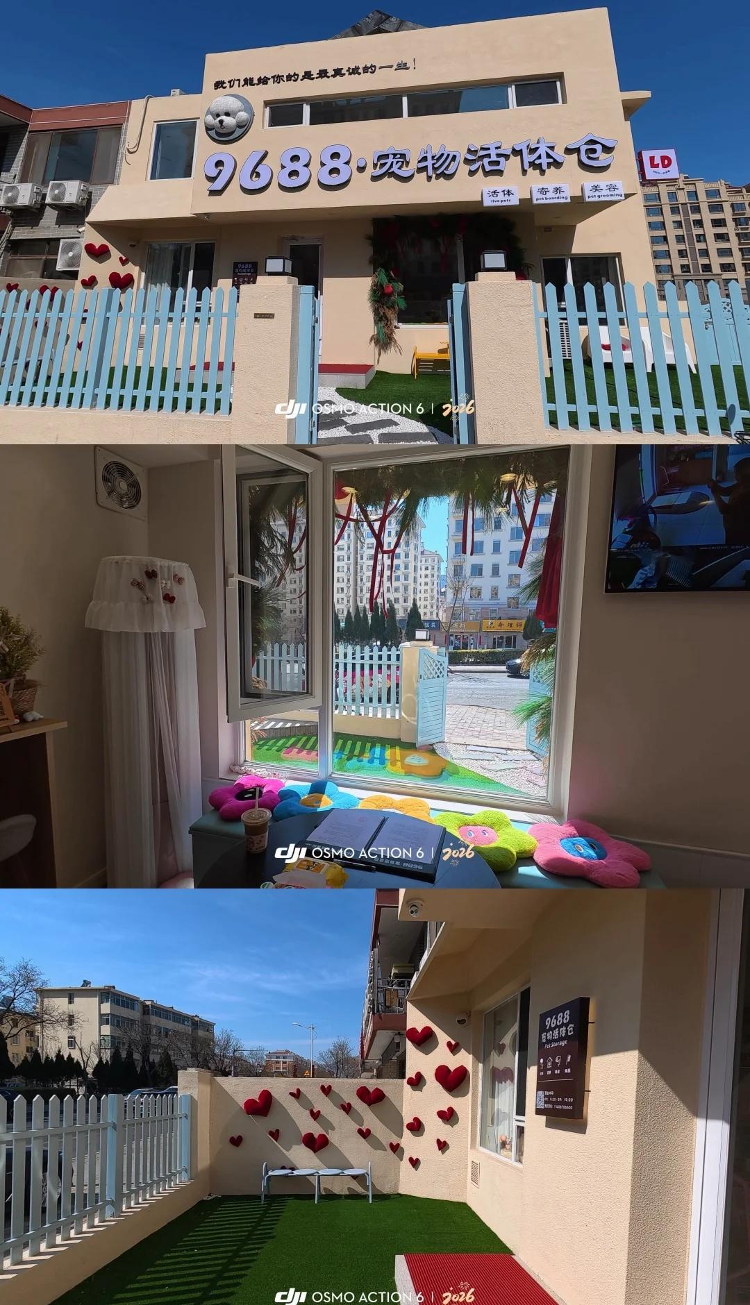 威海生活 千金不换
怎么能每天都这么好的天气
[流泪]太太喜欢威海了
威海968